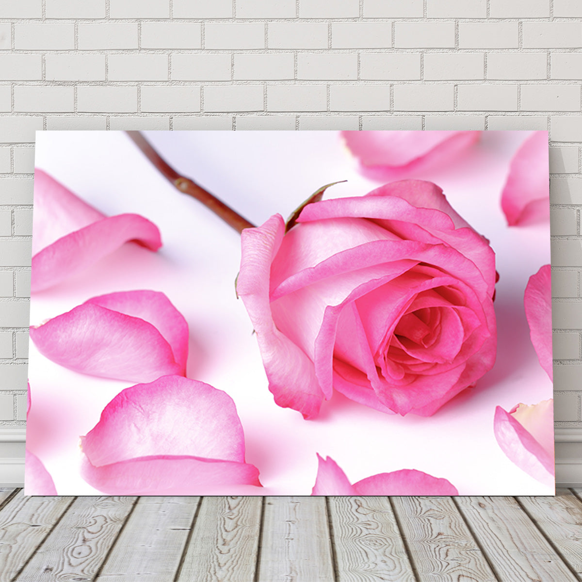 Pink Rose Petals Wall Art
