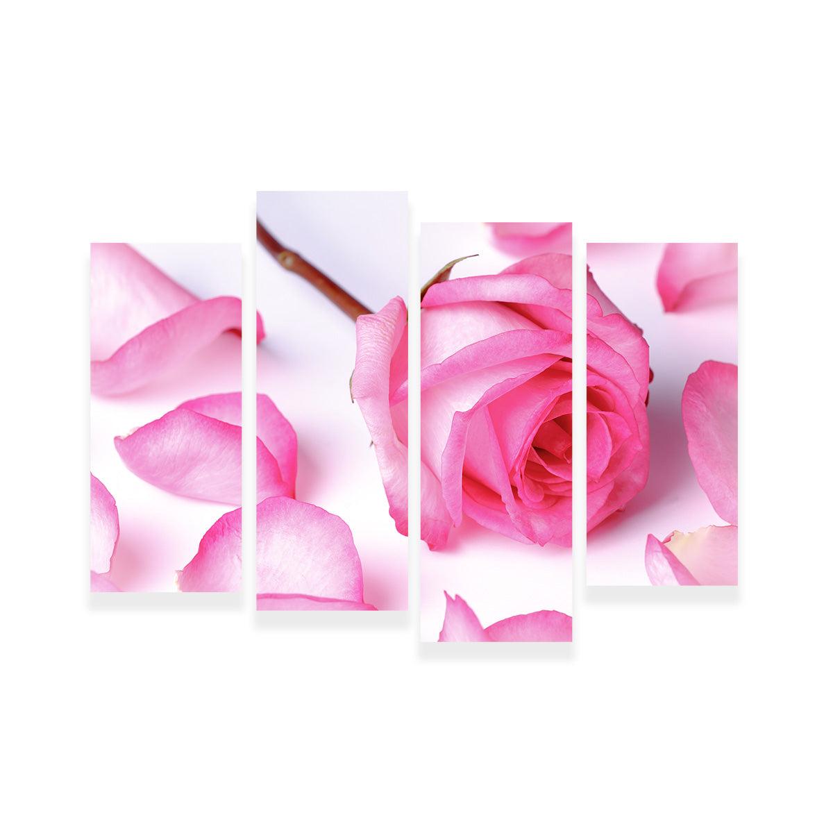 Pink Rose Petals Wall Art