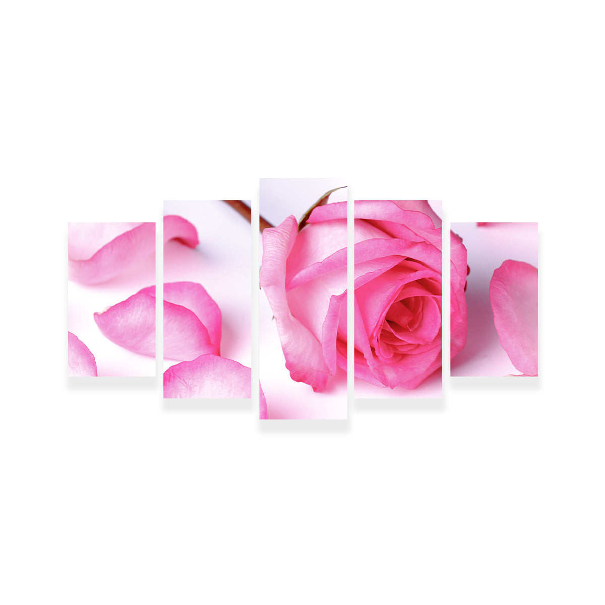 Pink Rose Petals Wall Art