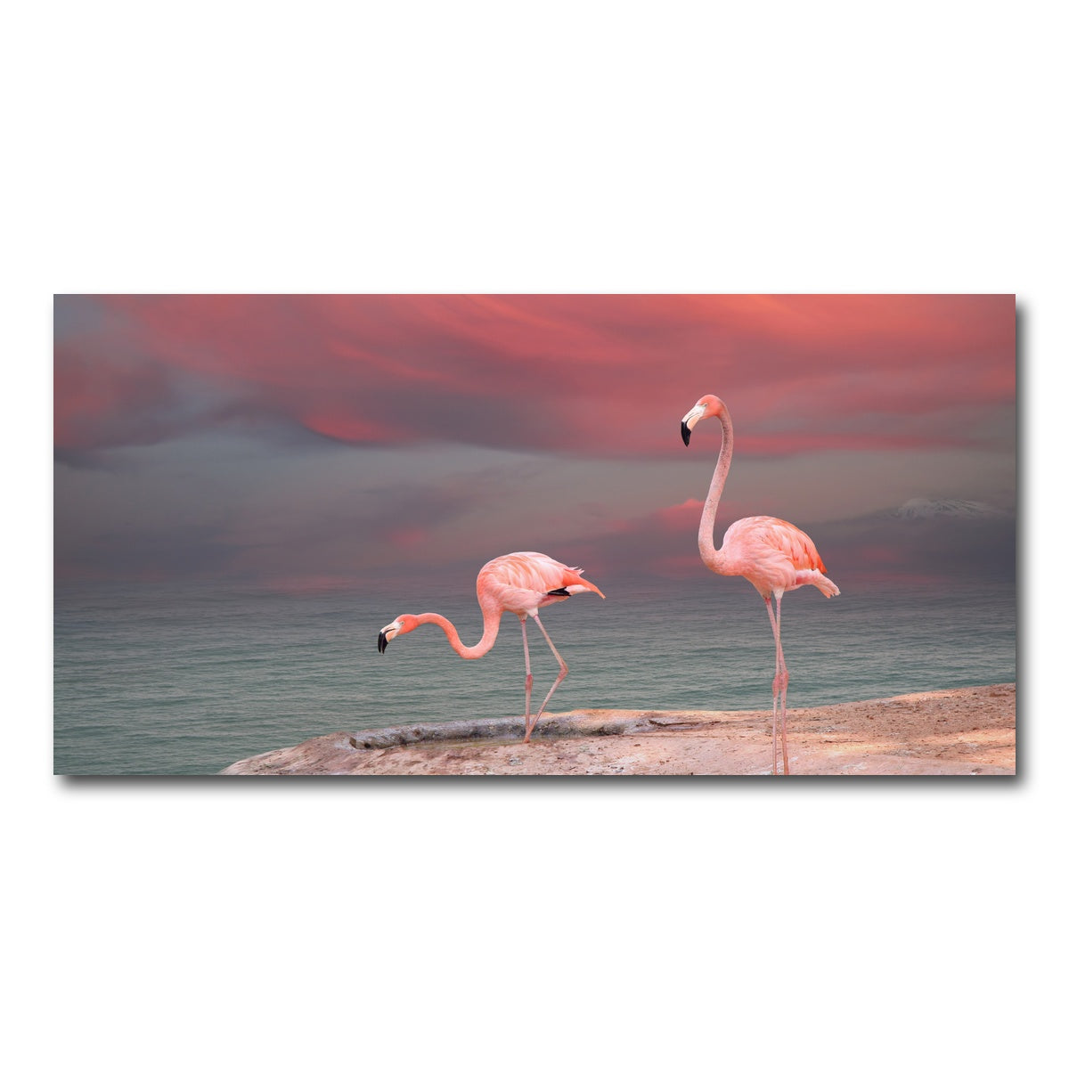 AUTO-MOCKUP WHITE | Pink Flamingo's on the Coast | 1 Piece | Gallery Wrap Canvas | group=2x1