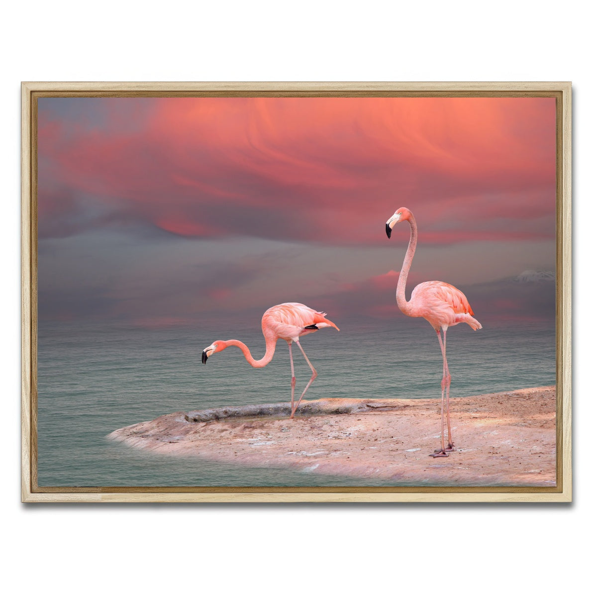 AUTO-MOCKUP WHITE | Pink Flamingo's on the Coast | 1 Piece | Natural Framed Canvas | group=4x3