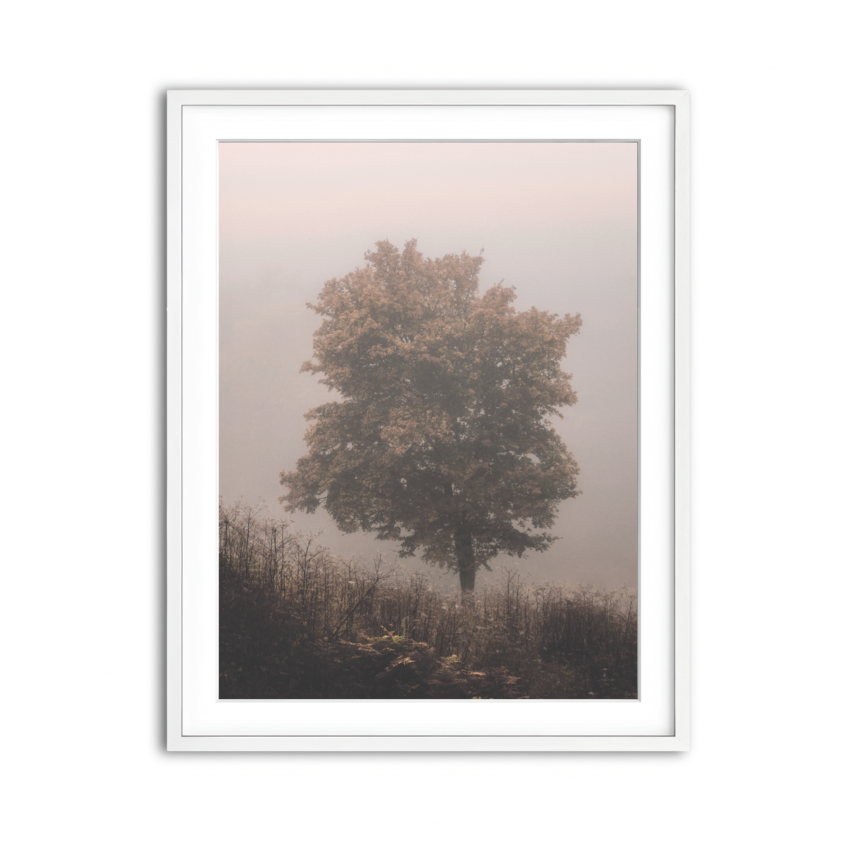 Framed Print 3x4 White