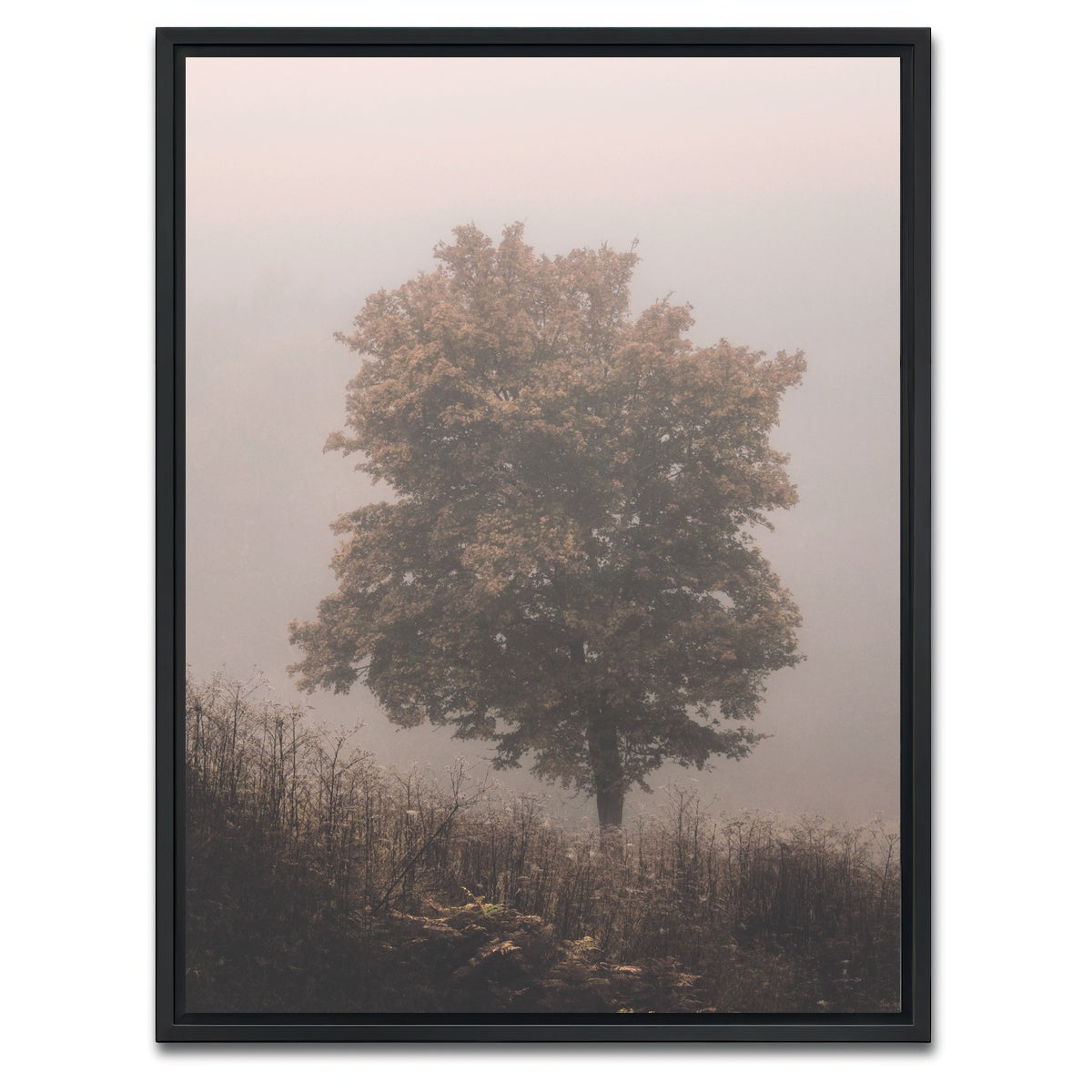 AUTO-MOCKUP WHITE | Pink Haze | 1 Piece | Black Framed Canvas | group=3x4