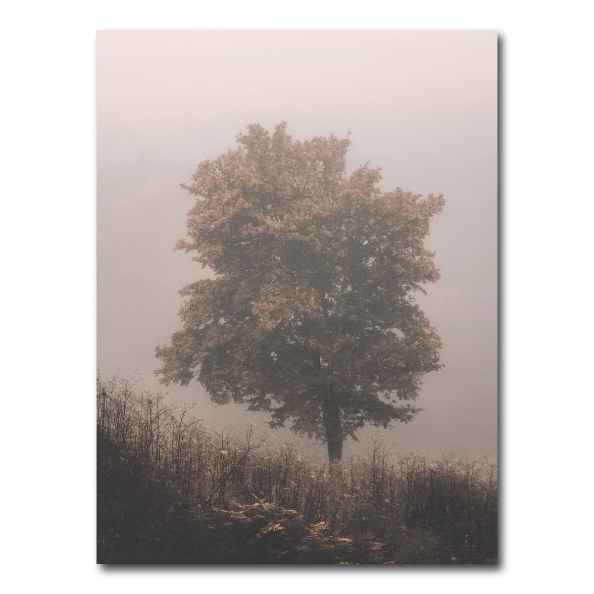 AUTO-MOCKUP WHITE | Pink Haze | 1 Piece | Gallery Wrap Canvas | group=3x4