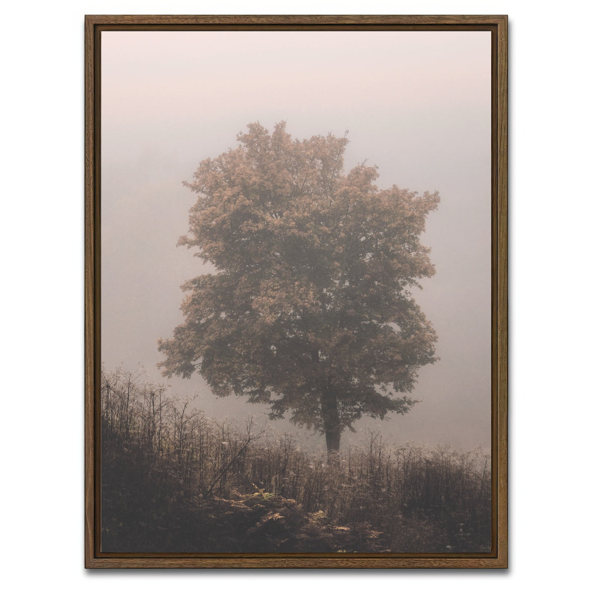 AUTO-MOCKUP WHITE | Pink Haze | 1 Piece | Walnut Framed Canvas | group=3x4