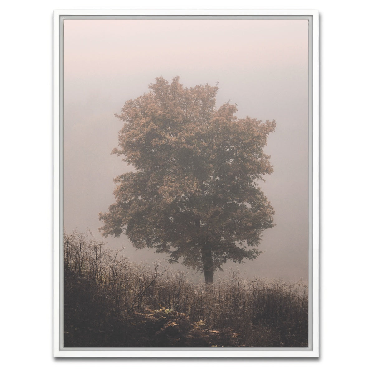 AUTO-MOCKUP WHITE | Pink Haze | 1 Piece | White Framed Canvas | group=3x4