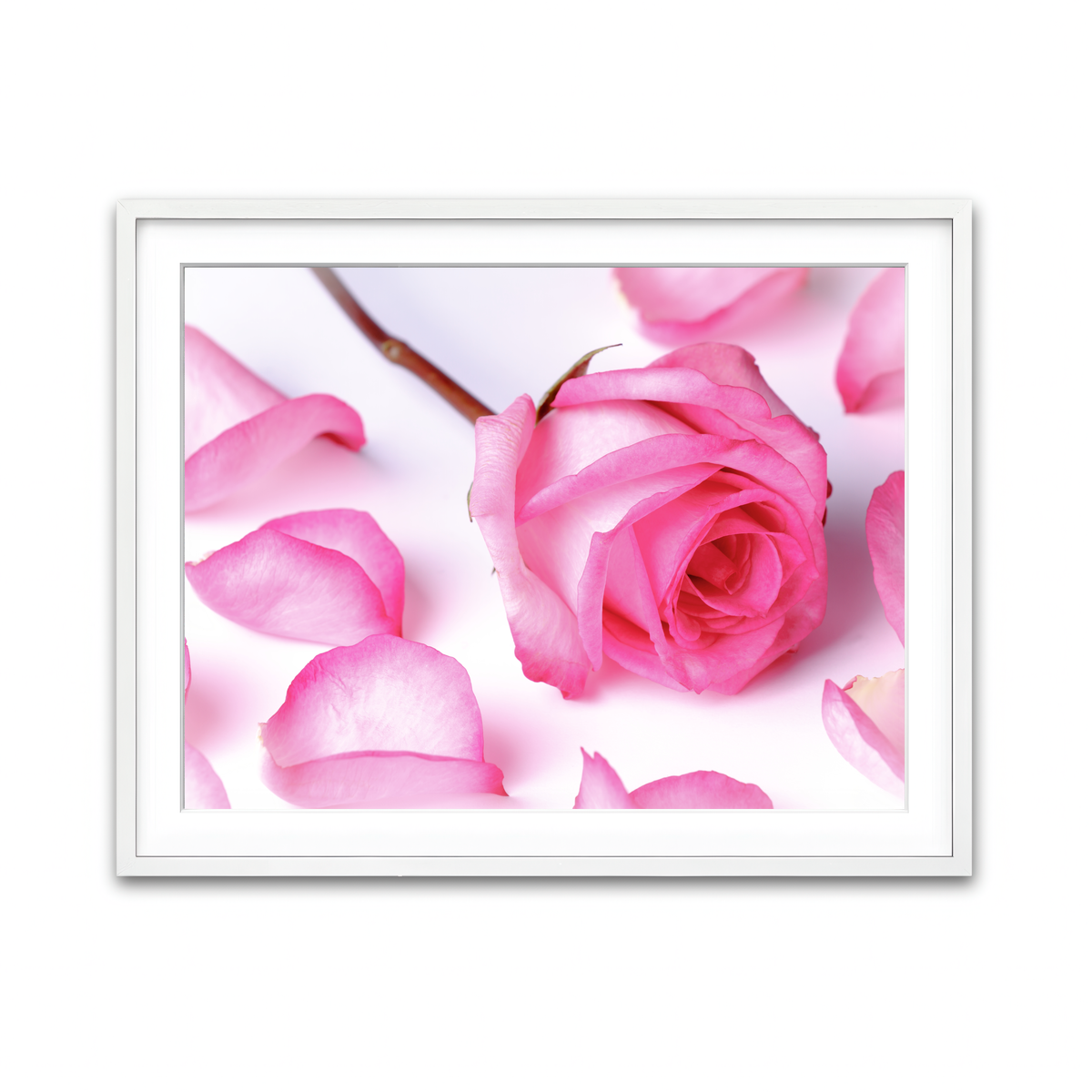 Framed Print 4x3 White
