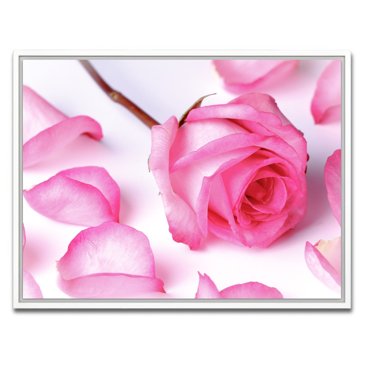 AUTO-MOCKUP WHITE | Pink Rose Petals | 1 Piece | White Framed Canvas | group=4x3