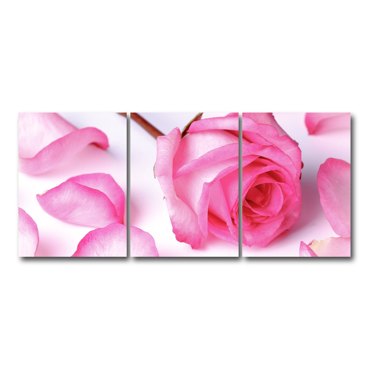 AUTO-MOCKUP WHITE | Pink Rose Petals | 3 Piece | Gallery Wrap Canvas | group=18x24