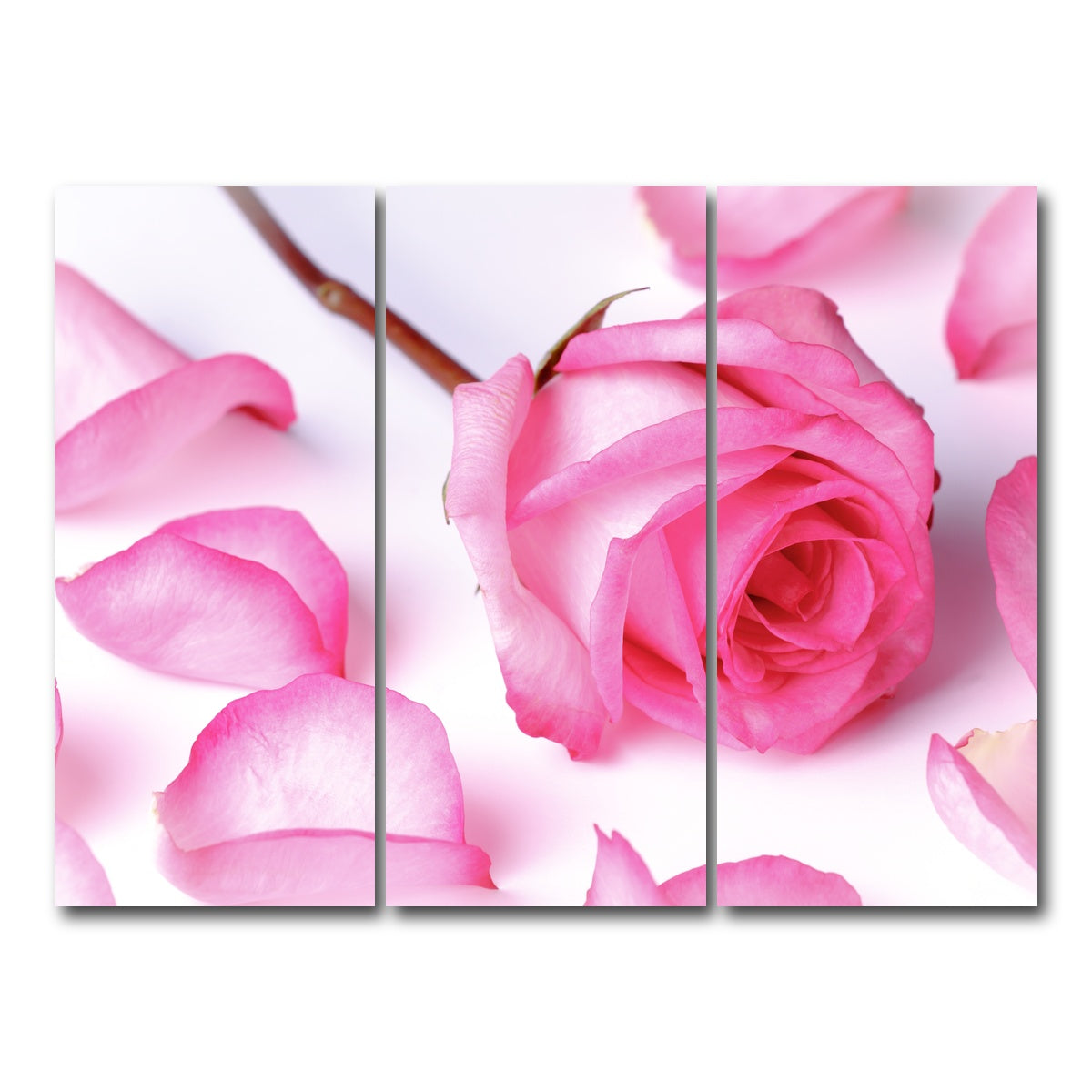 AUTO-MOCKUP WHITE | Pink Rose Petals | 3 Piece | Gallery Wrap Canvas | group=8x18