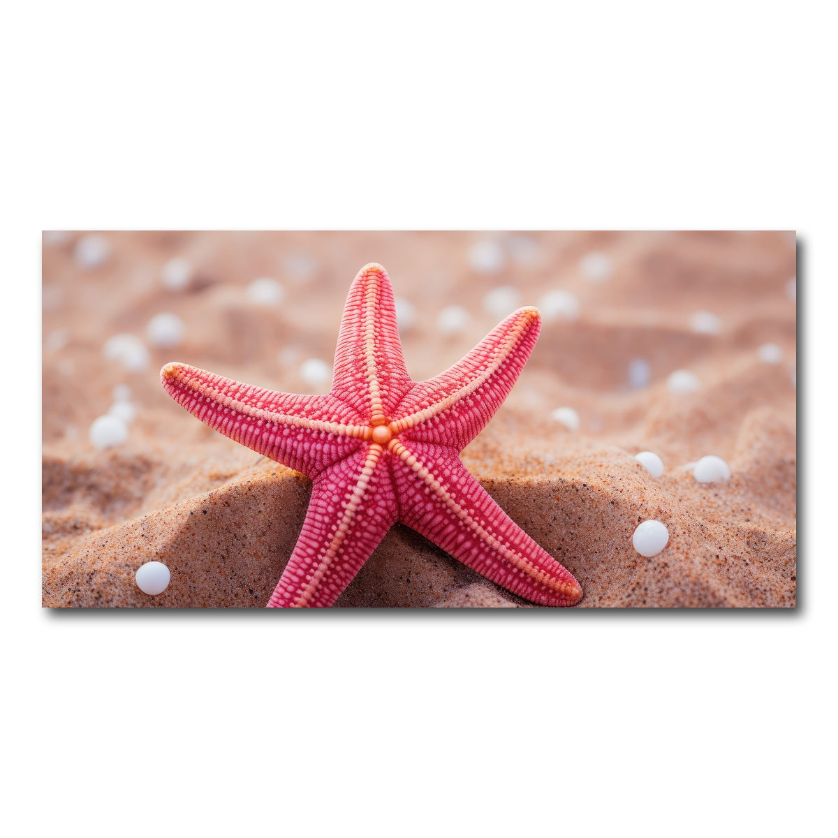 AUTO-MOCKUP WHITE | Pink Star Fish | 1 Piece | Gallery Wrap Canvas | group=2x1