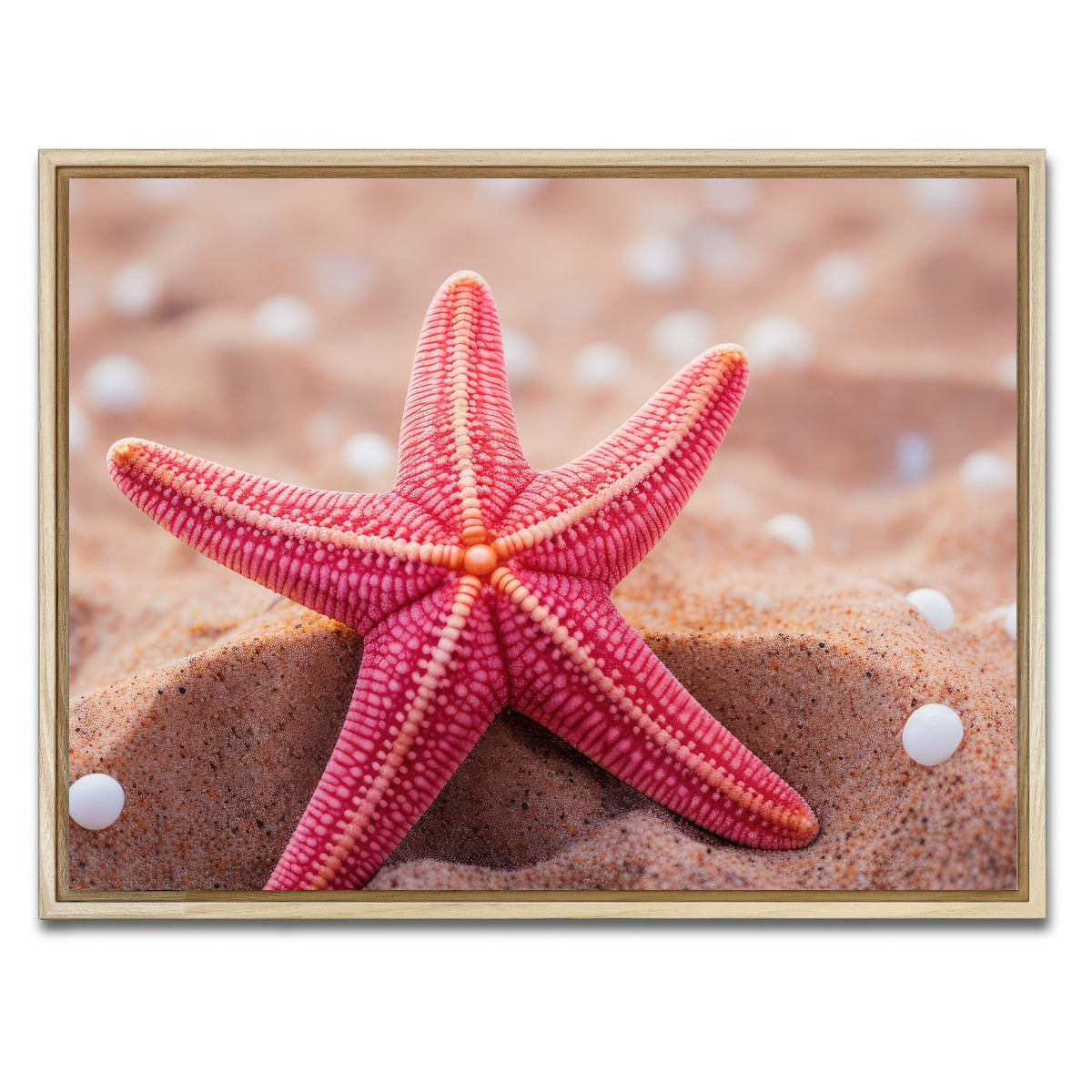 AUTO-MOCKUP WHITE | Pink Star Fish | 1 Piece | Natural Framed Canvas | group=4x3