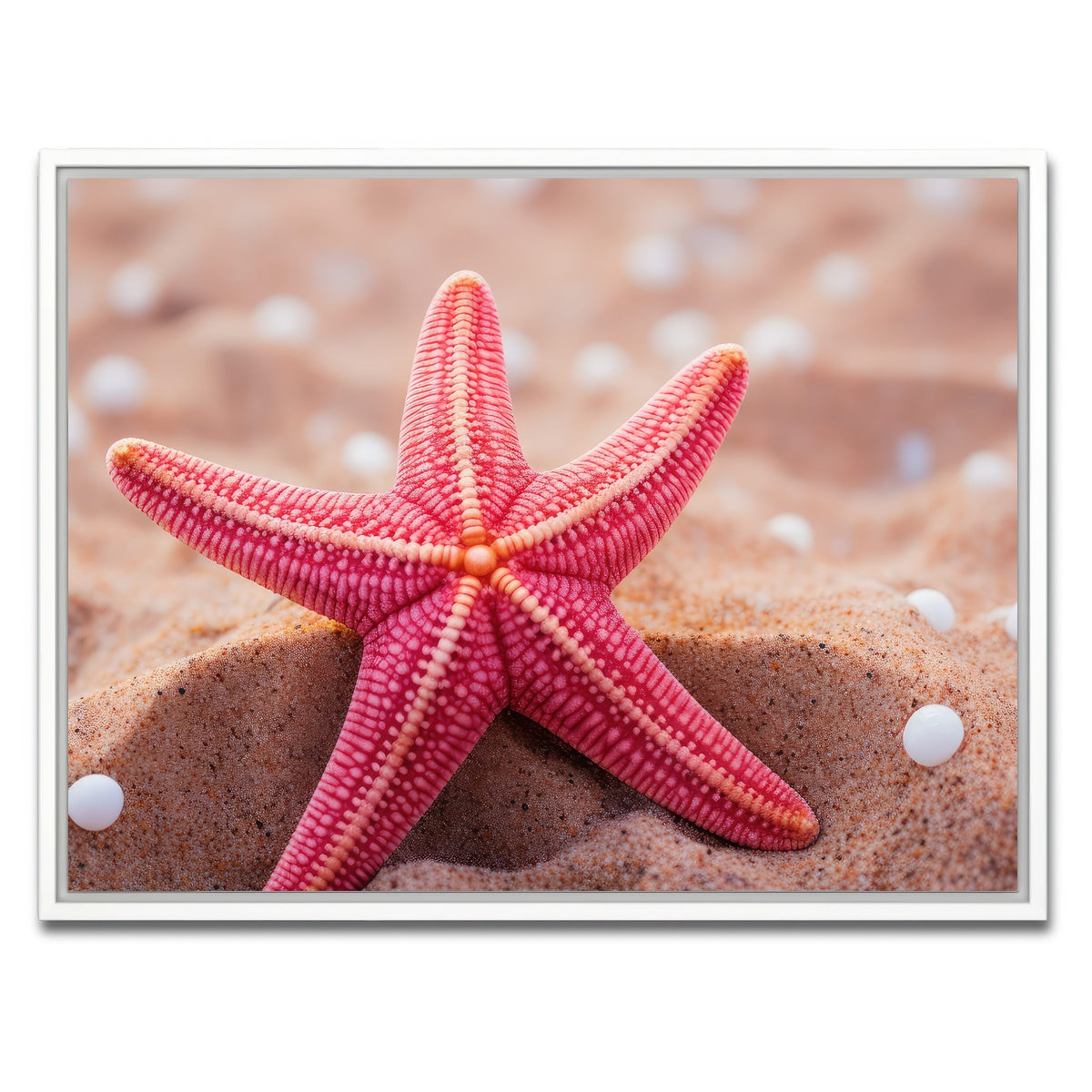 AUTO-MOCKUP WHITE | Pink Star Fish | 1 Piece | White Framed Canvas | group=4x3