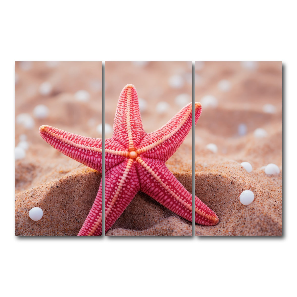 AUTO-MOCKUP WHITE | Pink Star Fish | 3 Piece | Gallery Wrap Canvas | group=12x24