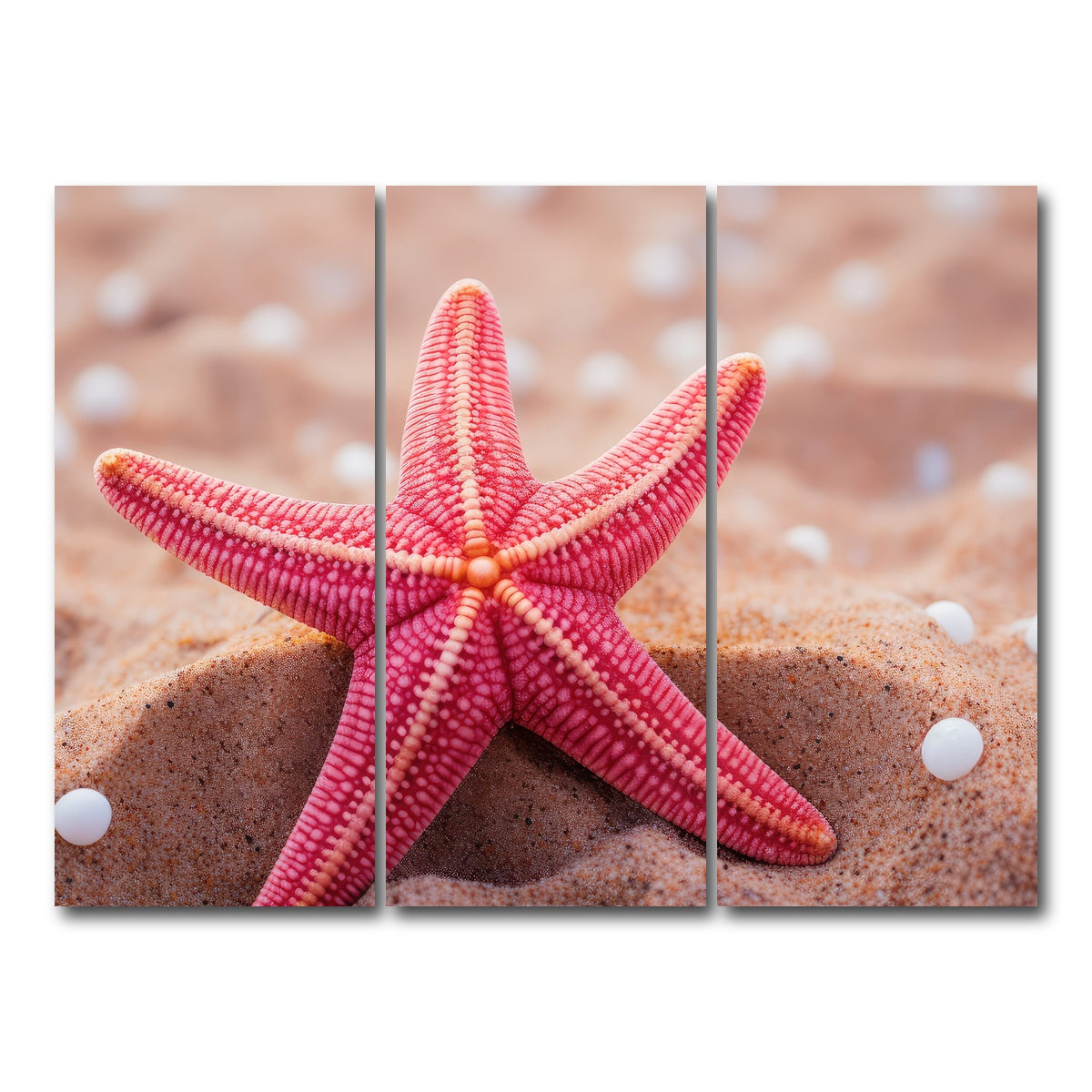 AUTO-MOCKUP WHITE | Pink Star Fish | 3 Piece | Gallery Wrap Canvas | group=8x18