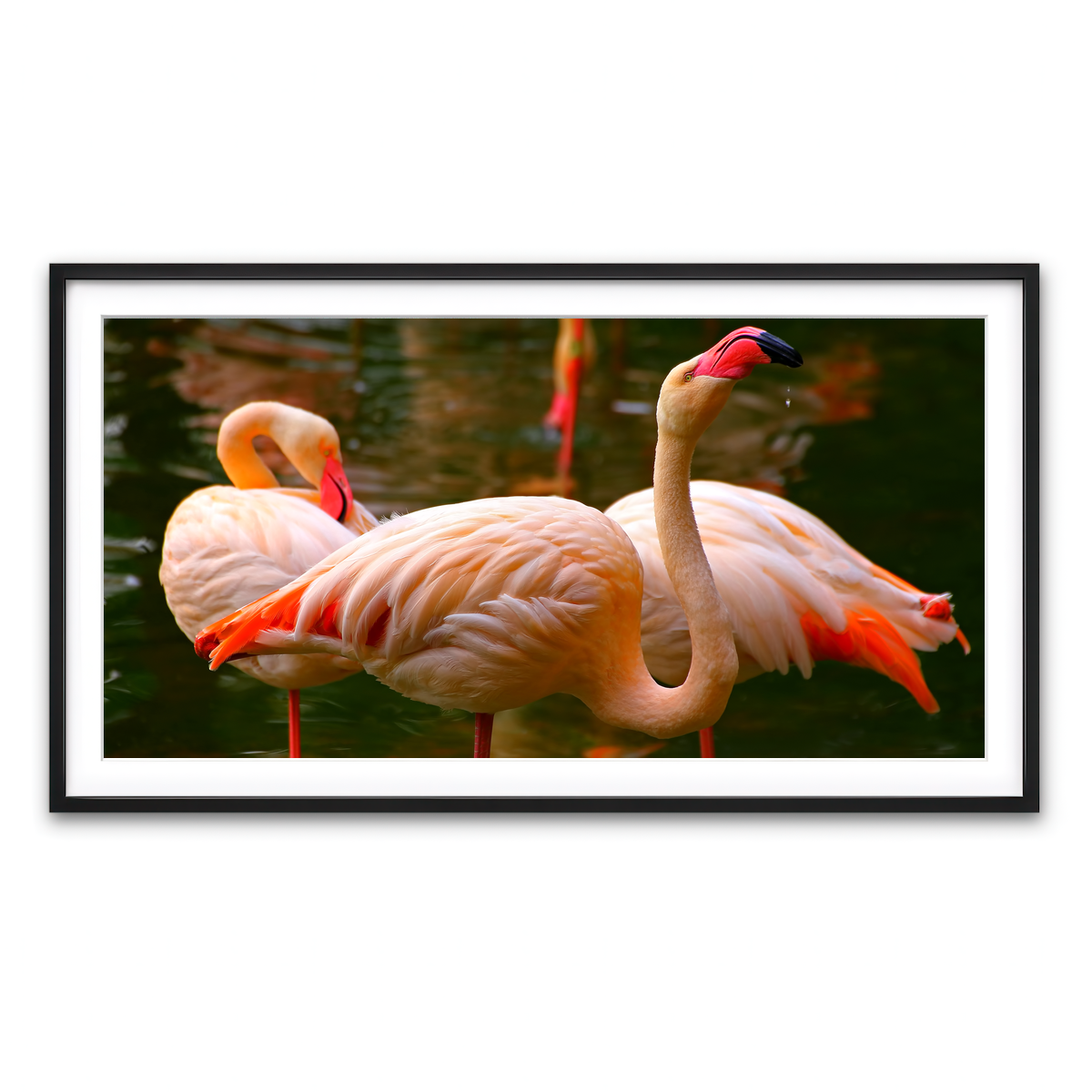 Framed Print 2x1 Black