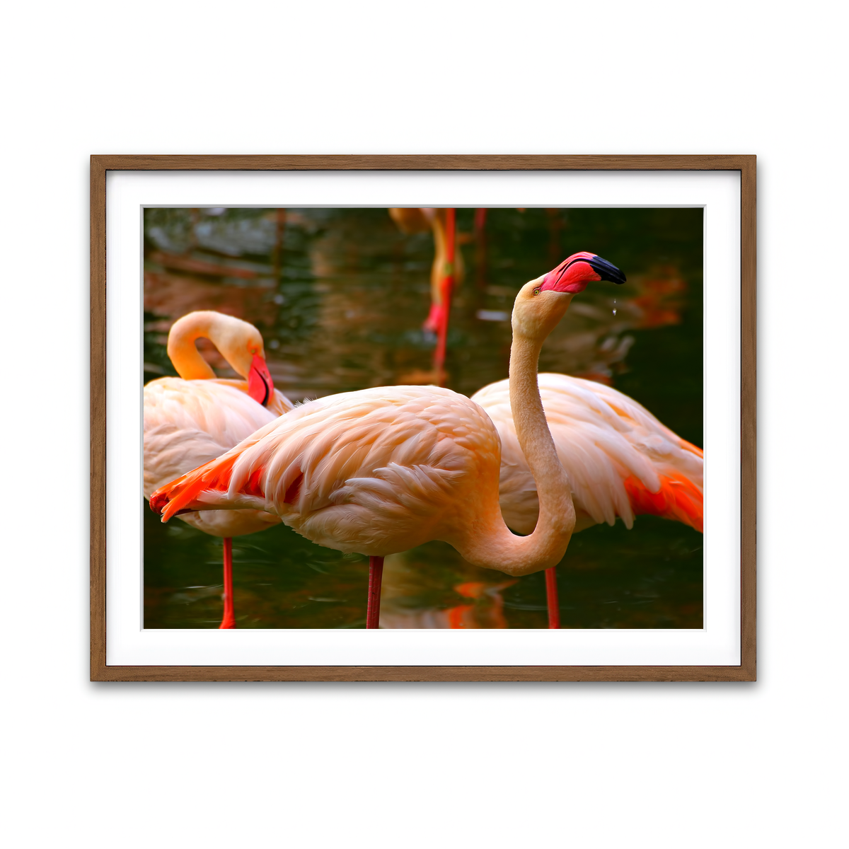 Framed Print 4x3 Walnut