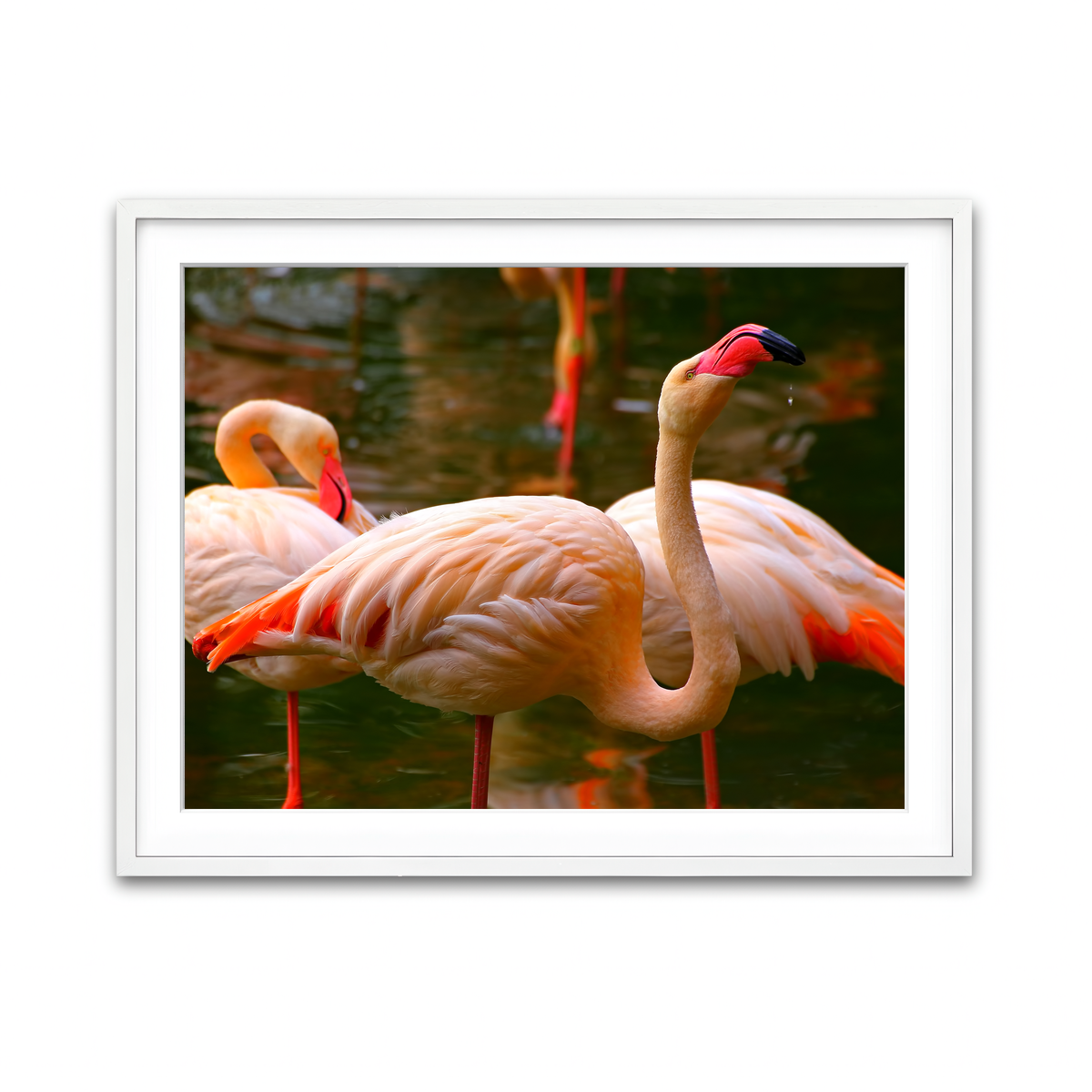 Framed Print 4x3 White