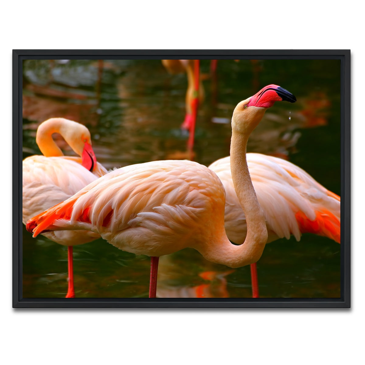 AUTO-MOCKUP WHITE | Pink flamingo birds | 1 Piece | Black Framed Canvas | group=4x3