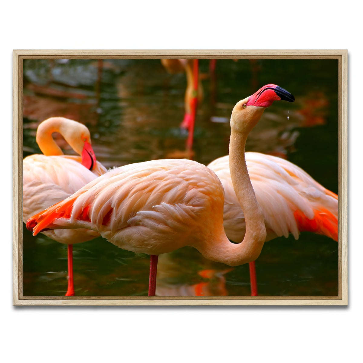 AUTO-MOCKUP WHITE | Pink flamingo birds | 1 Piece | Natural Framed Canvas | group=4x3