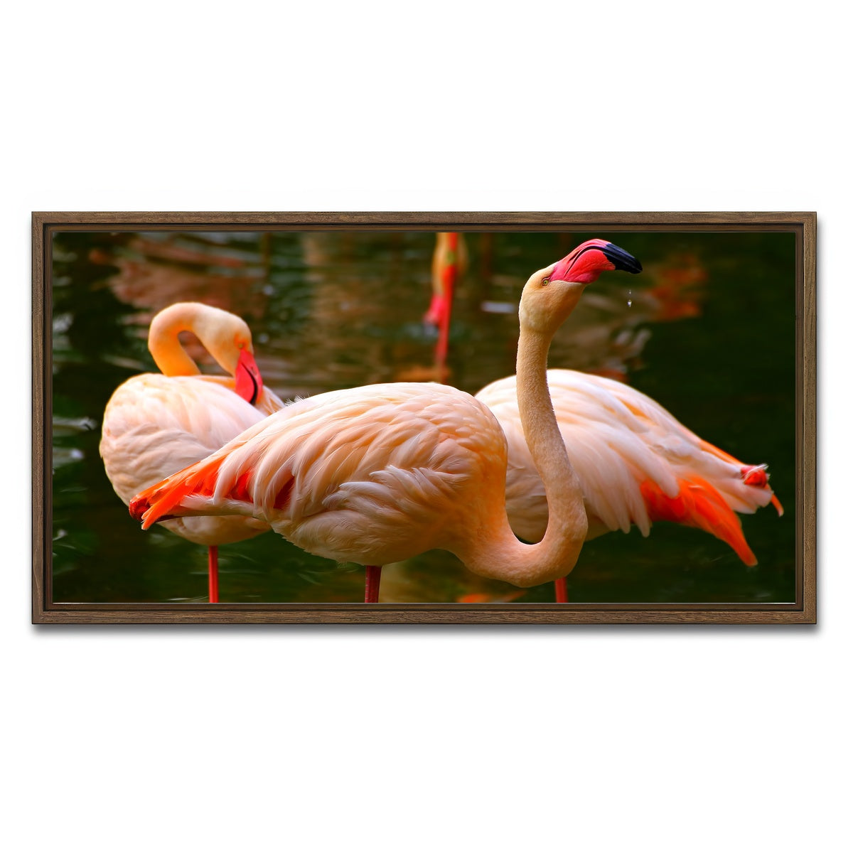 AUTO-MOCKUP WHITE | Pink flamingo birds | 1 Piece | Walnut Framed Canvas | group=2x1