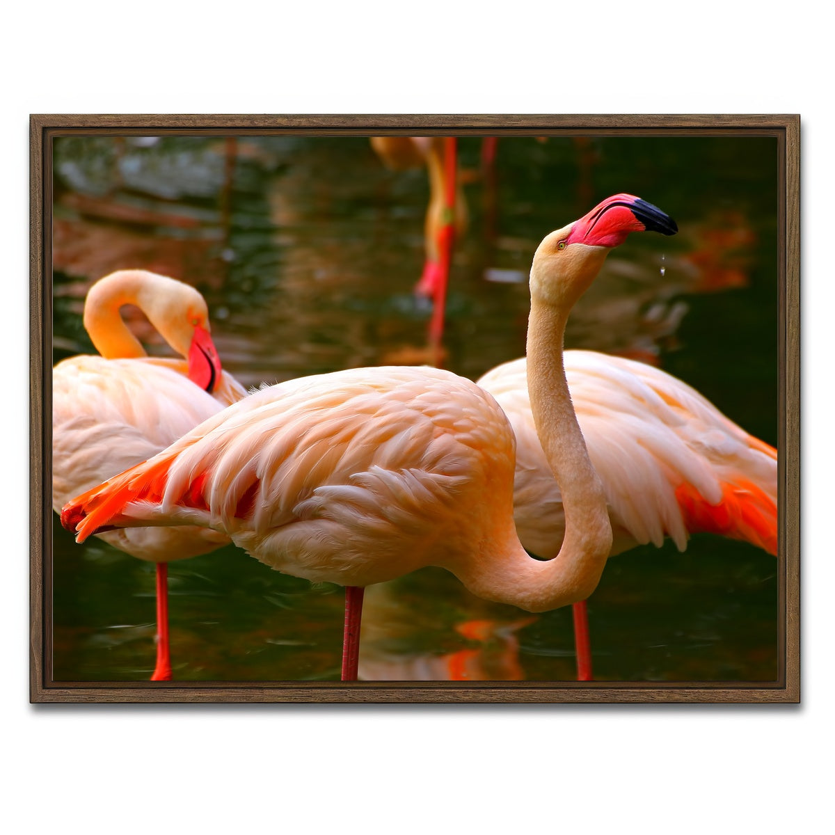 AUTO-MOCKUP WHITE | Pink flamingo birds | 1 Piece | Walnut Framed Canvas | group=4x3