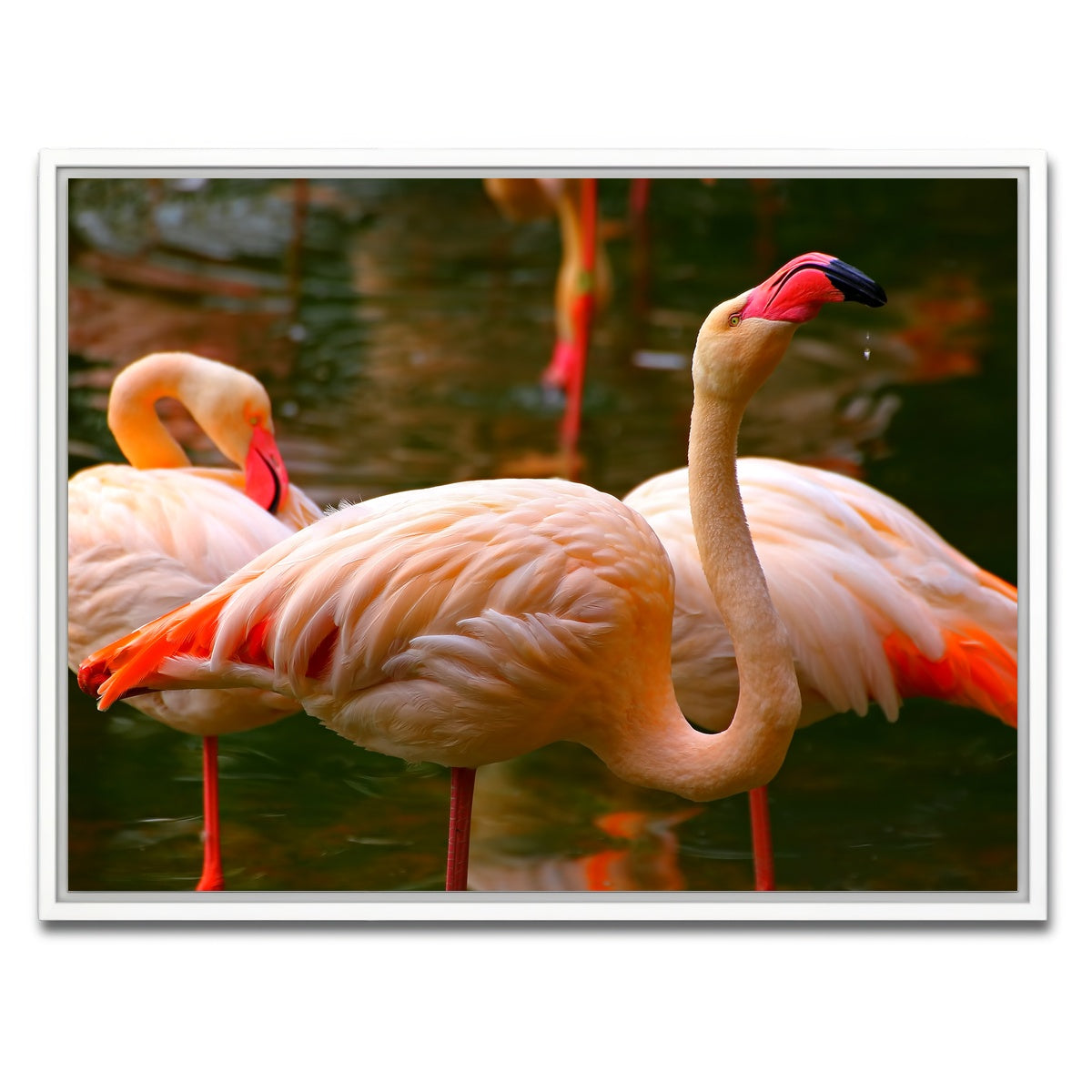 AUTO-MOCKUP WHITE | Pink flamingo birds | 1 Piece | White Framed Canvas | group=4x3