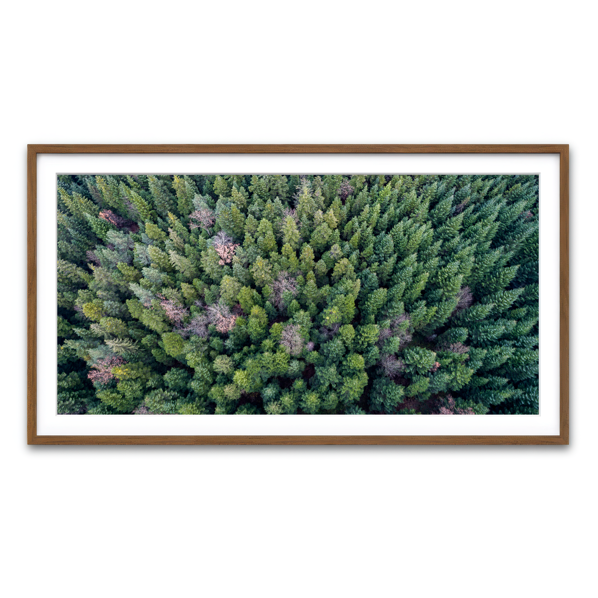 Framed Print 2x1 Walnut