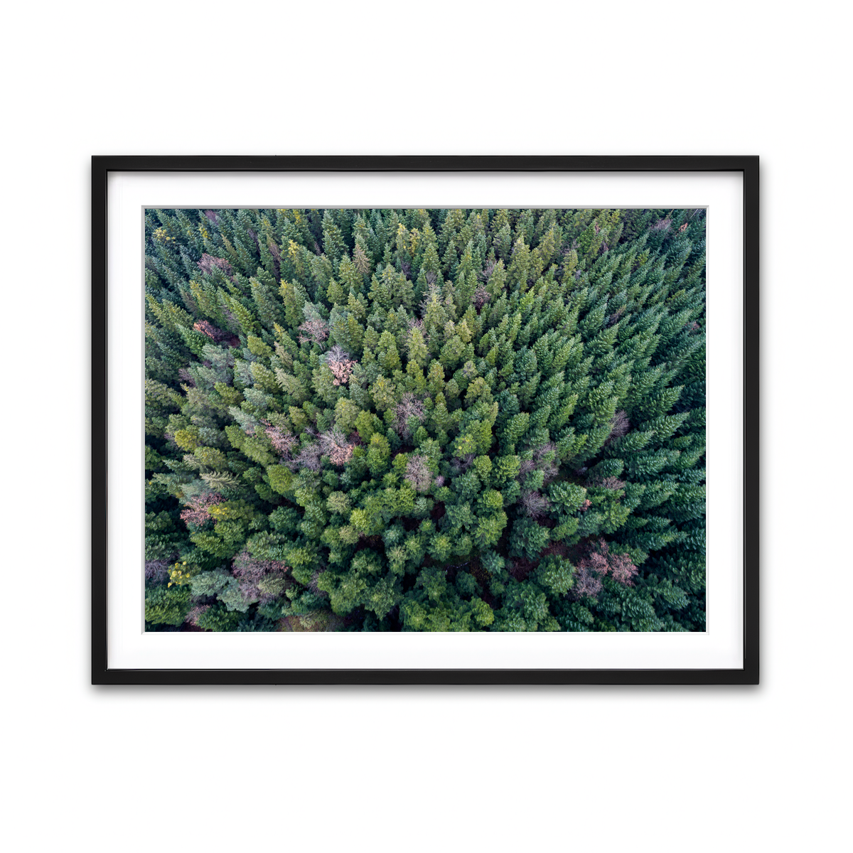 Framed Print 4x3 Black