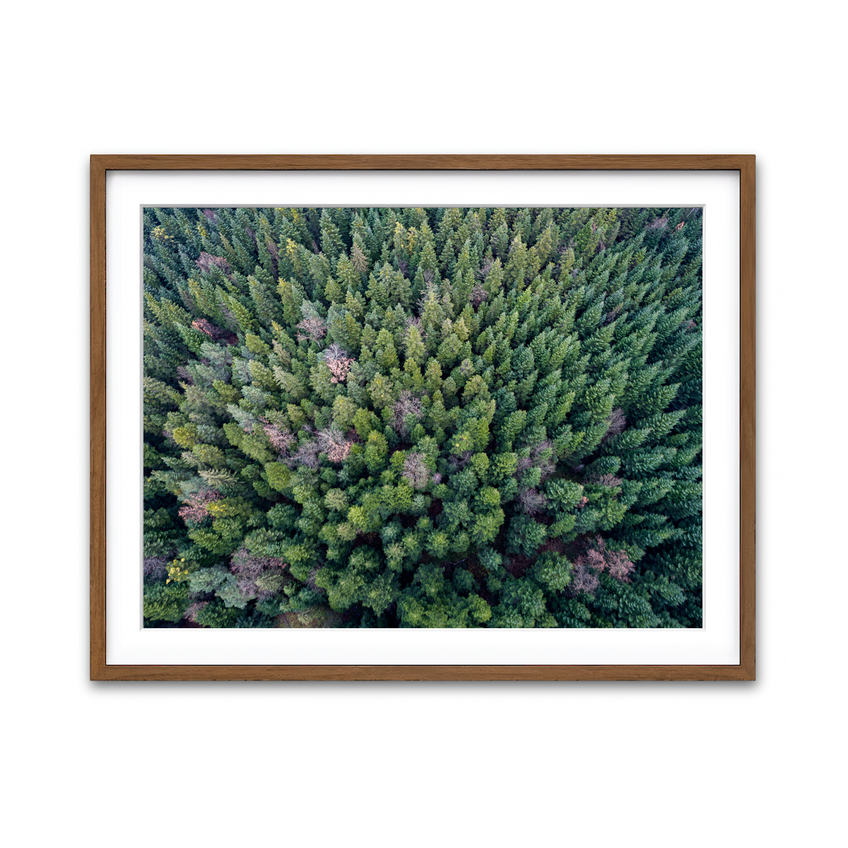 Framed Print 4x3 Walnut