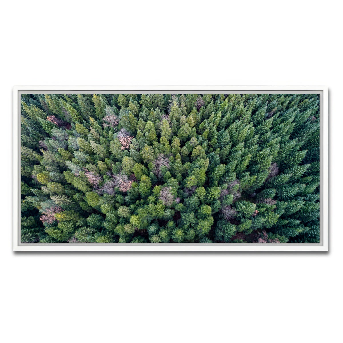 AUTO-MOCKUP WHITE | Pointy Pines | 1 Piece | White Framed Canvas | group=2x1