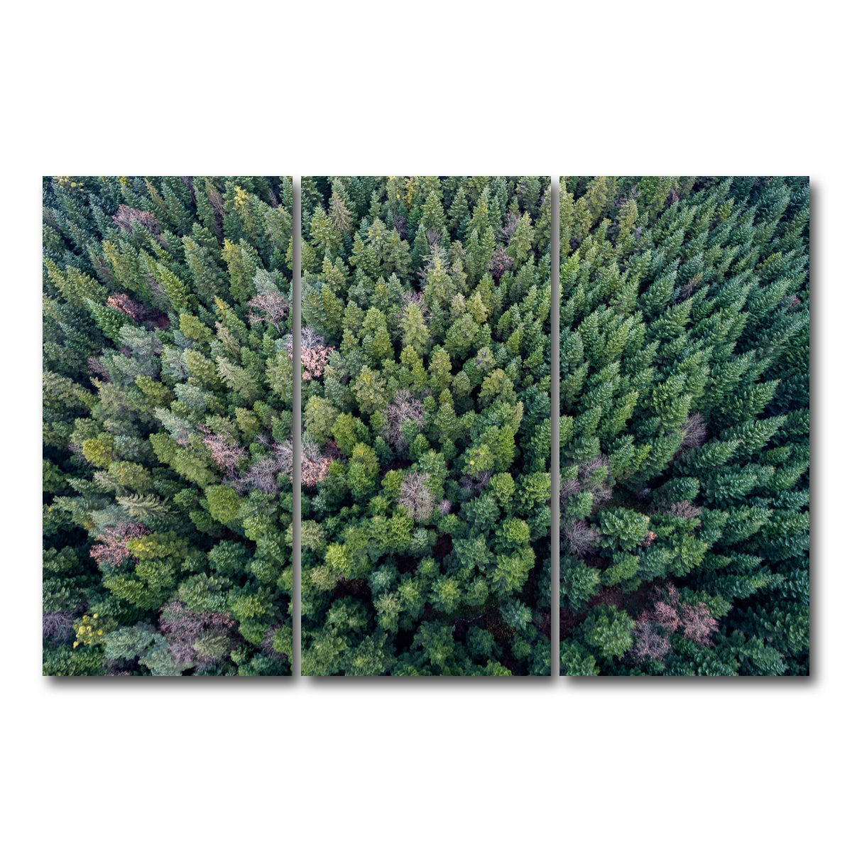 AUTO-MOCKUP WHITE | Pointy Pines | 3 Piece | Gallery Wrap Canvas | group=12x24