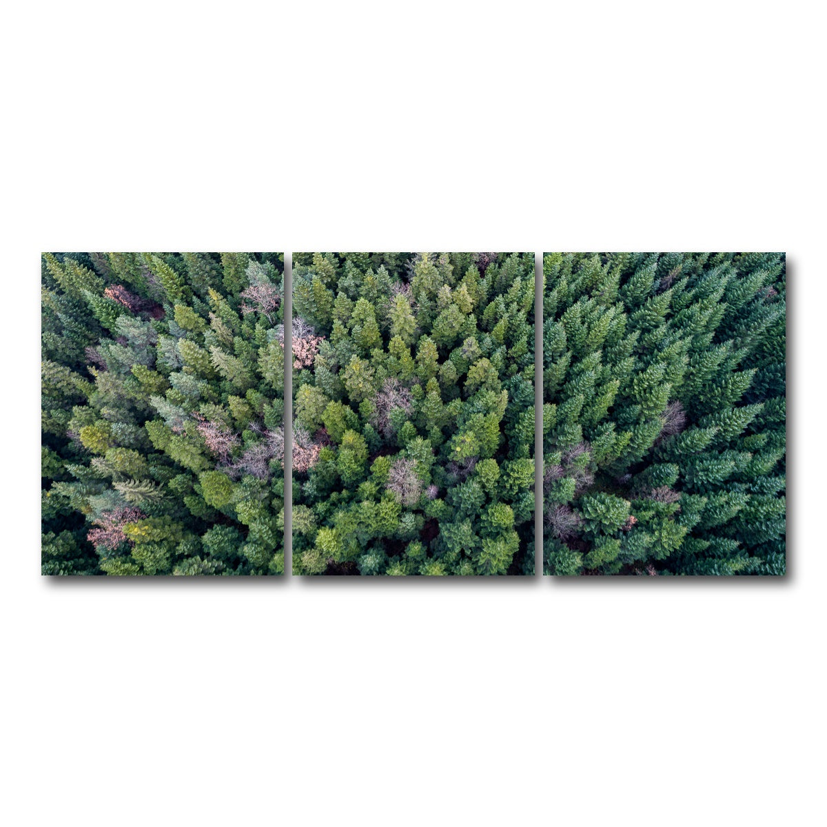 AUTO-MOCKUP WHITE | Pointy Pines | 3 Piece | Gallery Wrap Canvas | group=18x24