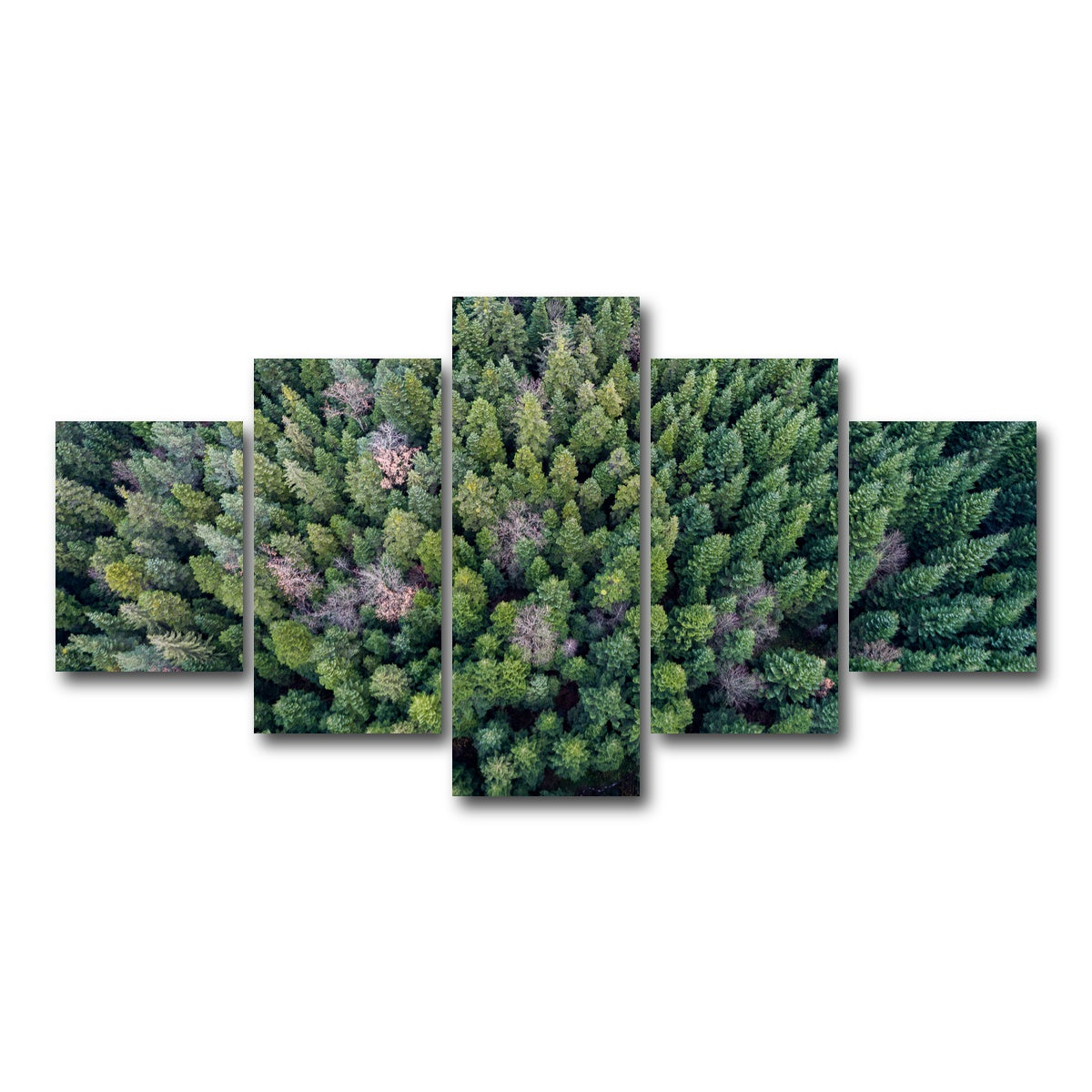 AUTO-MOCKUP WHITE | Pointy Pines | 5 Piece | Gallery Wrap Canvas | group=5_short