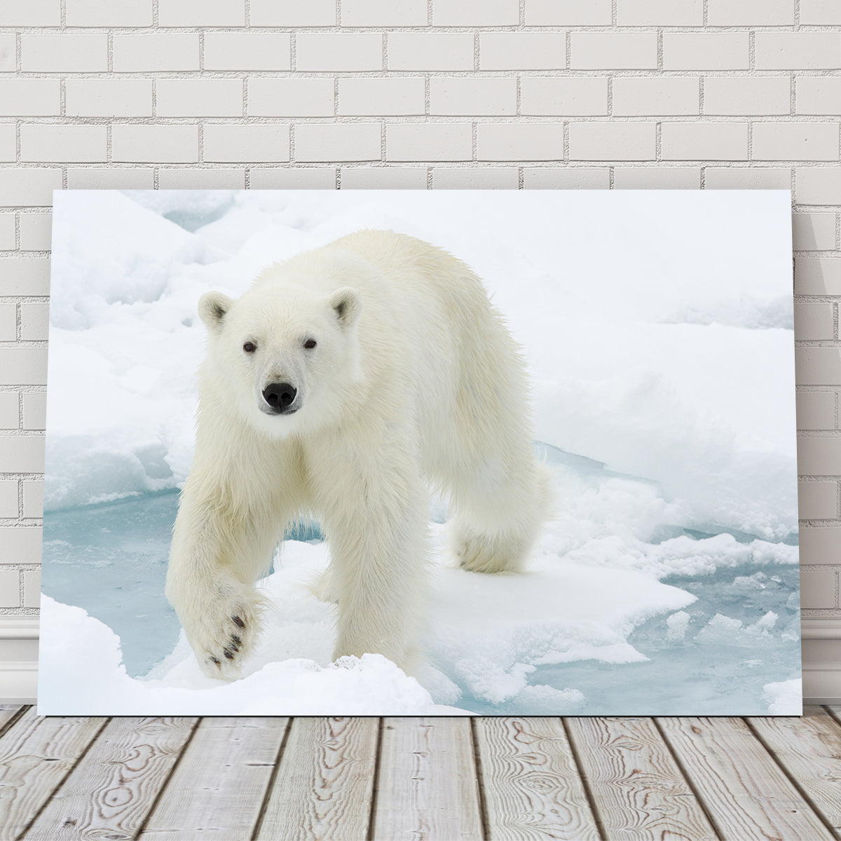 Polar Bear Wall Art