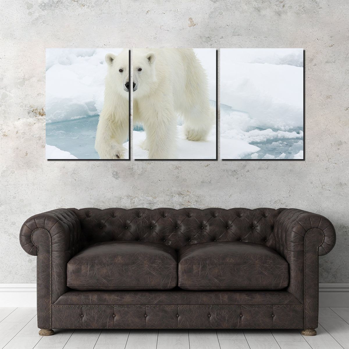 Polar Bear Wall Art