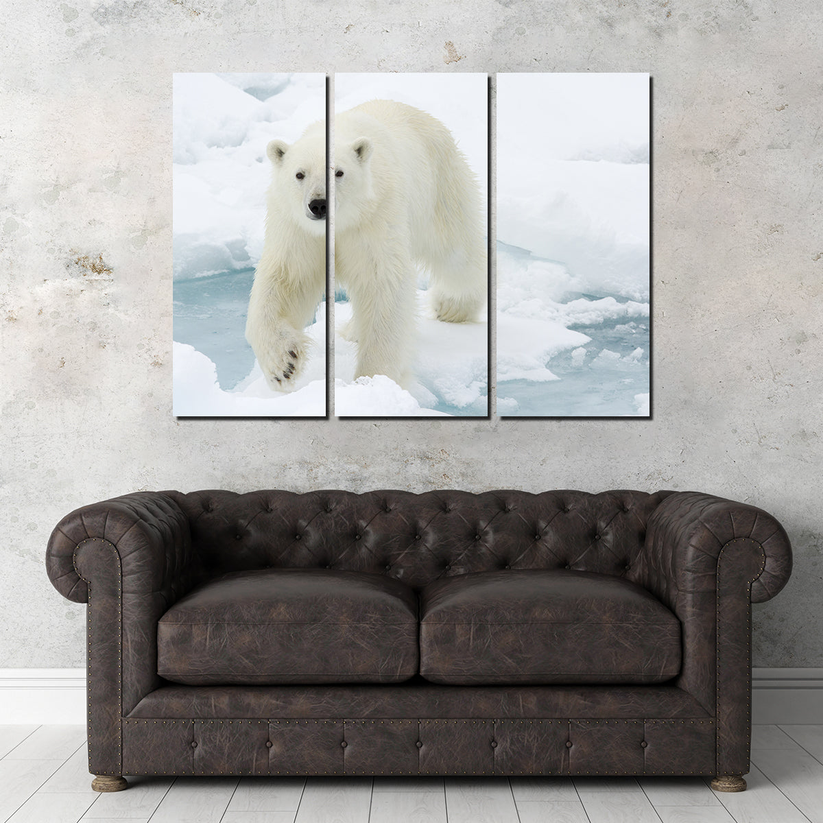 Polar Bear Wall Art