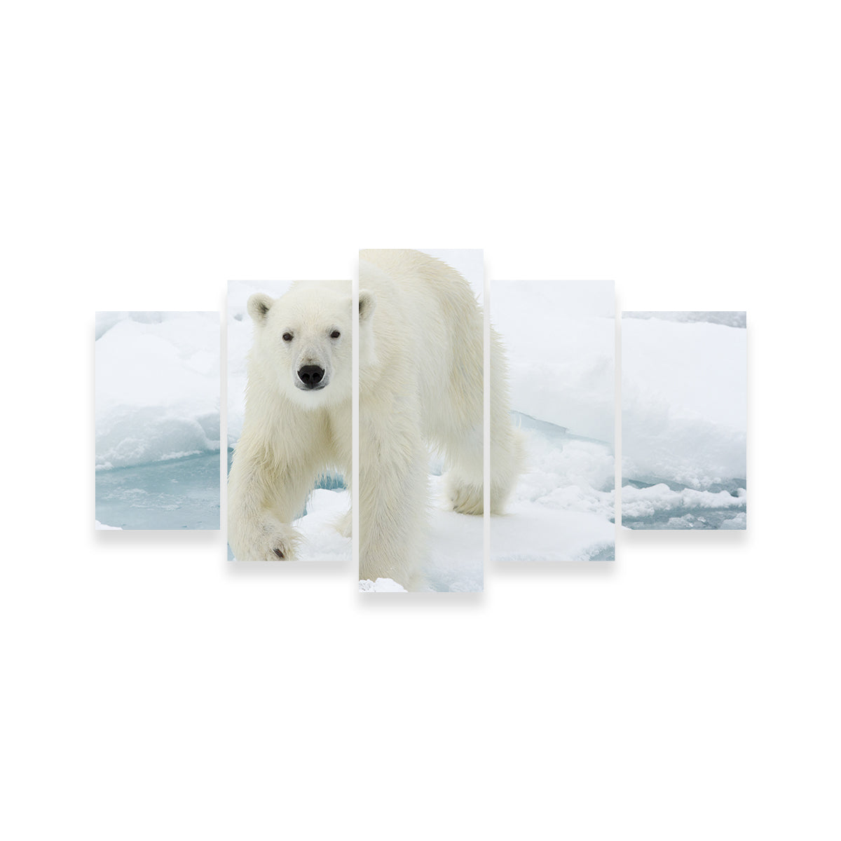 Polar Bear Wall Art
