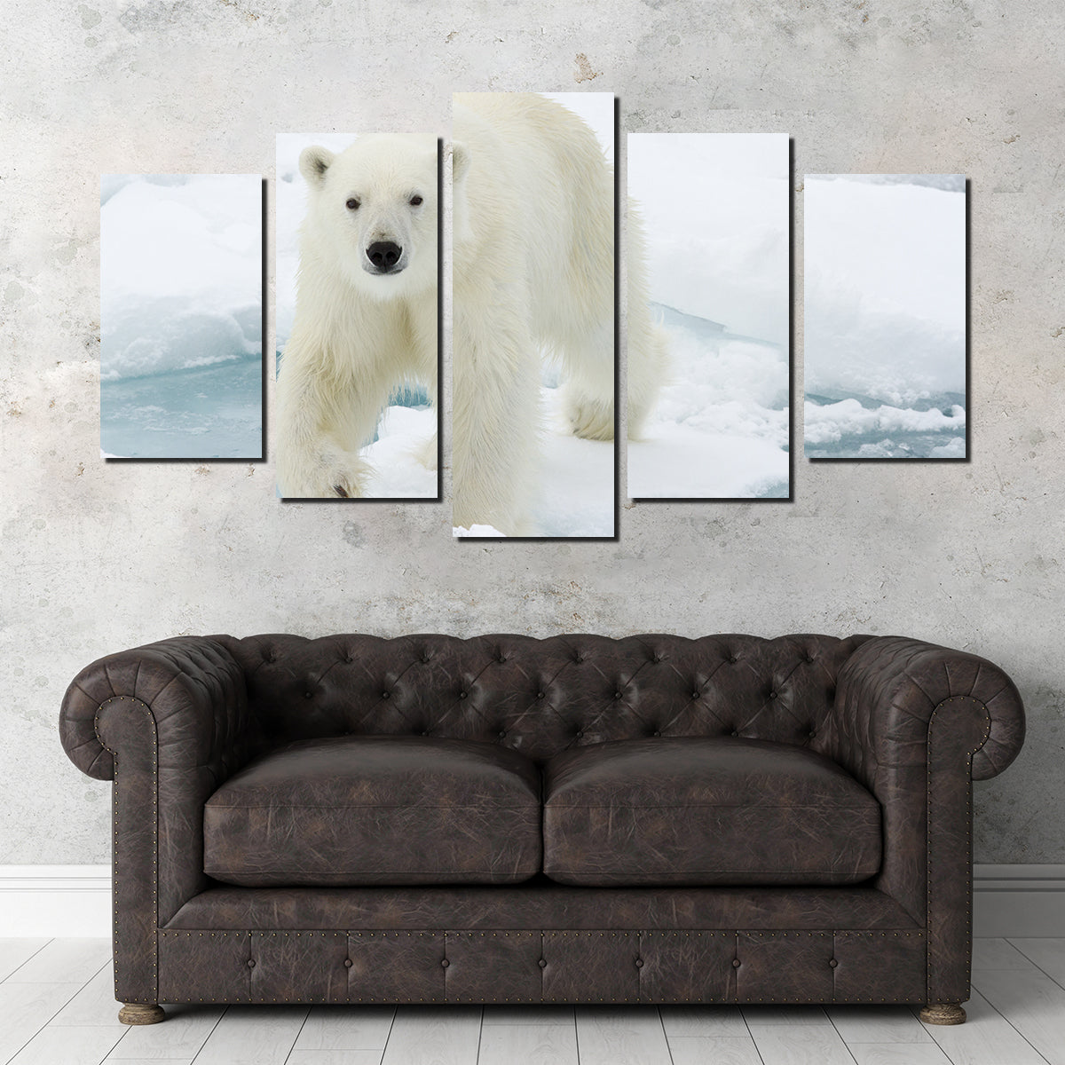 Polar Bear Wall Art
