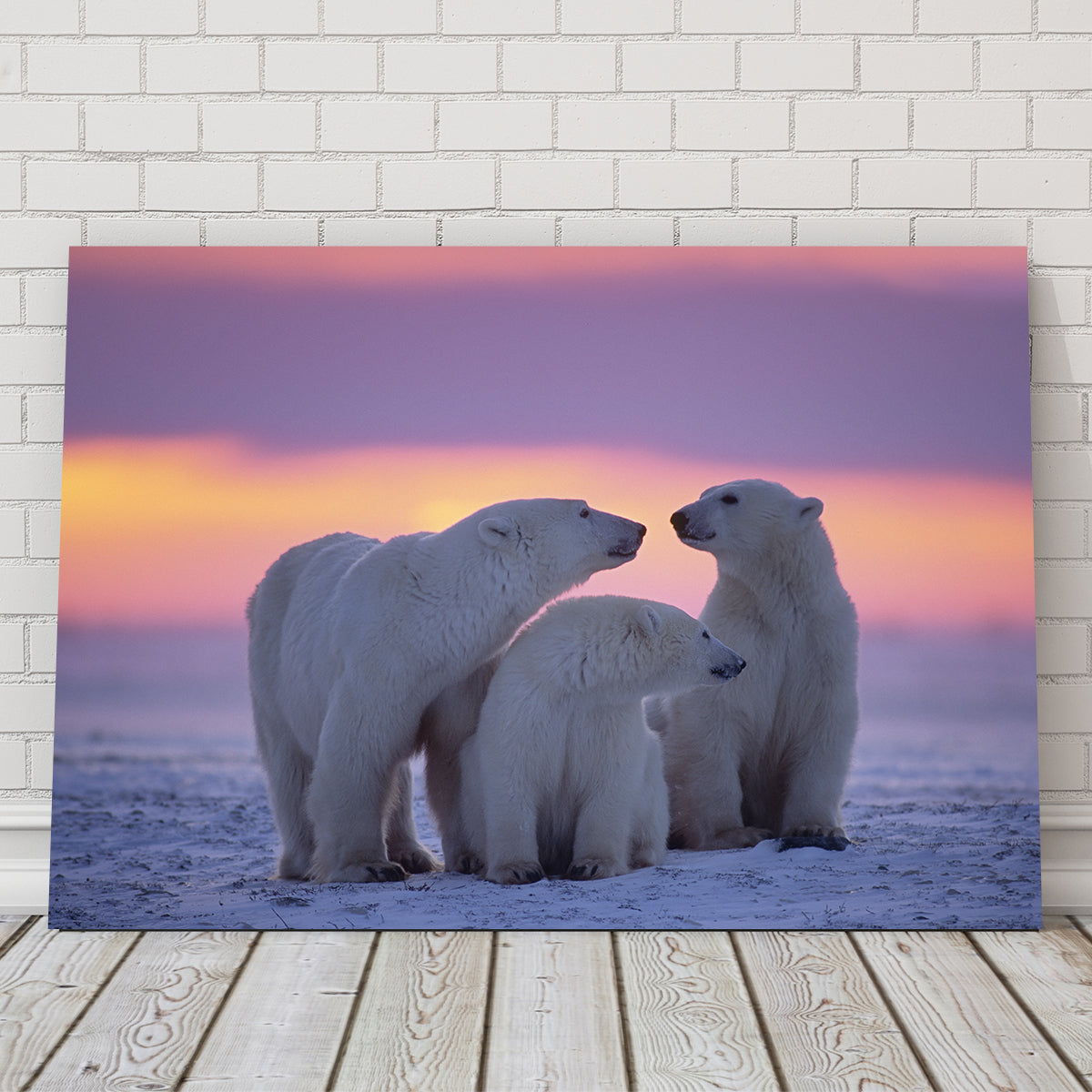 Polar Bear Family - Canadian Arctic Wall Art