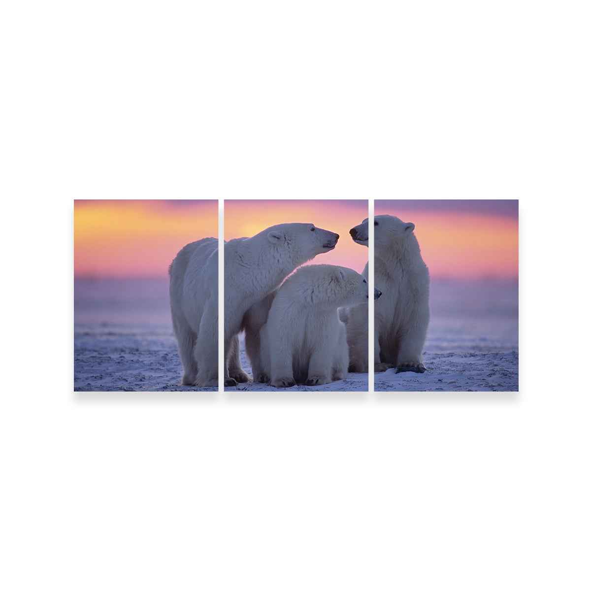 Polar Bear Family - Canadian Arctic Wall Art