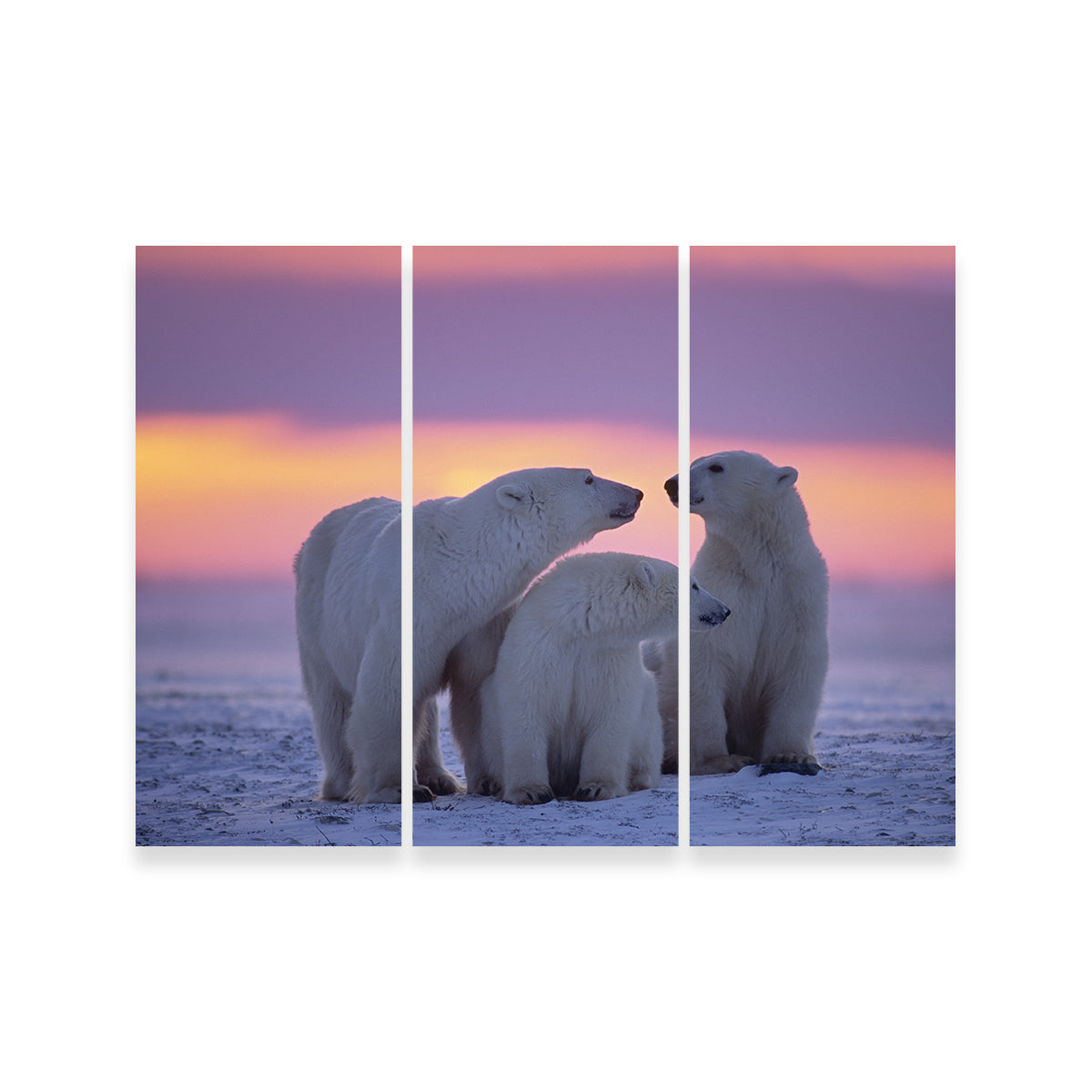 Polar Bear Family - Canadian Arctic Wall Art