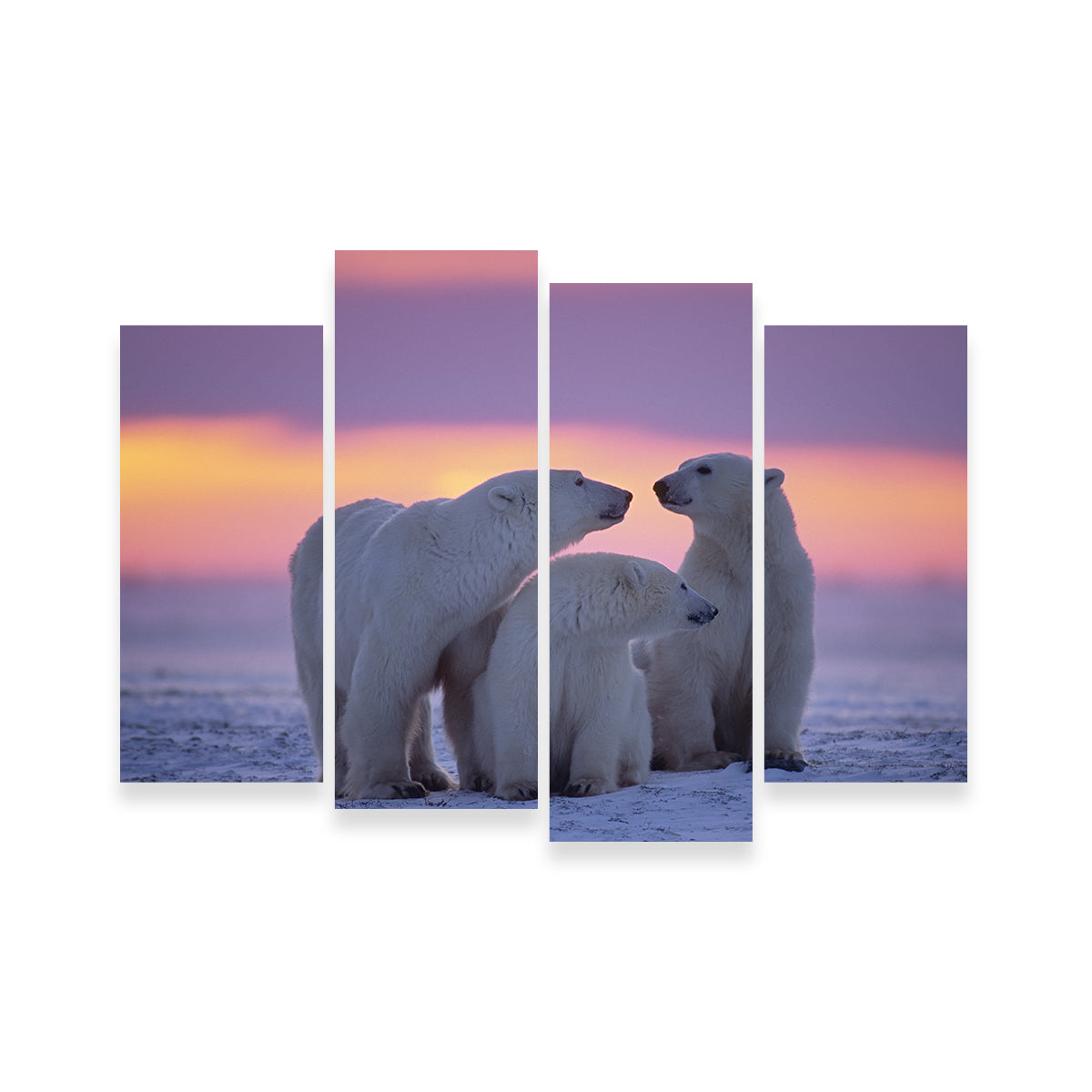 Polar Bear Family - Canadian Arctic Wall Art