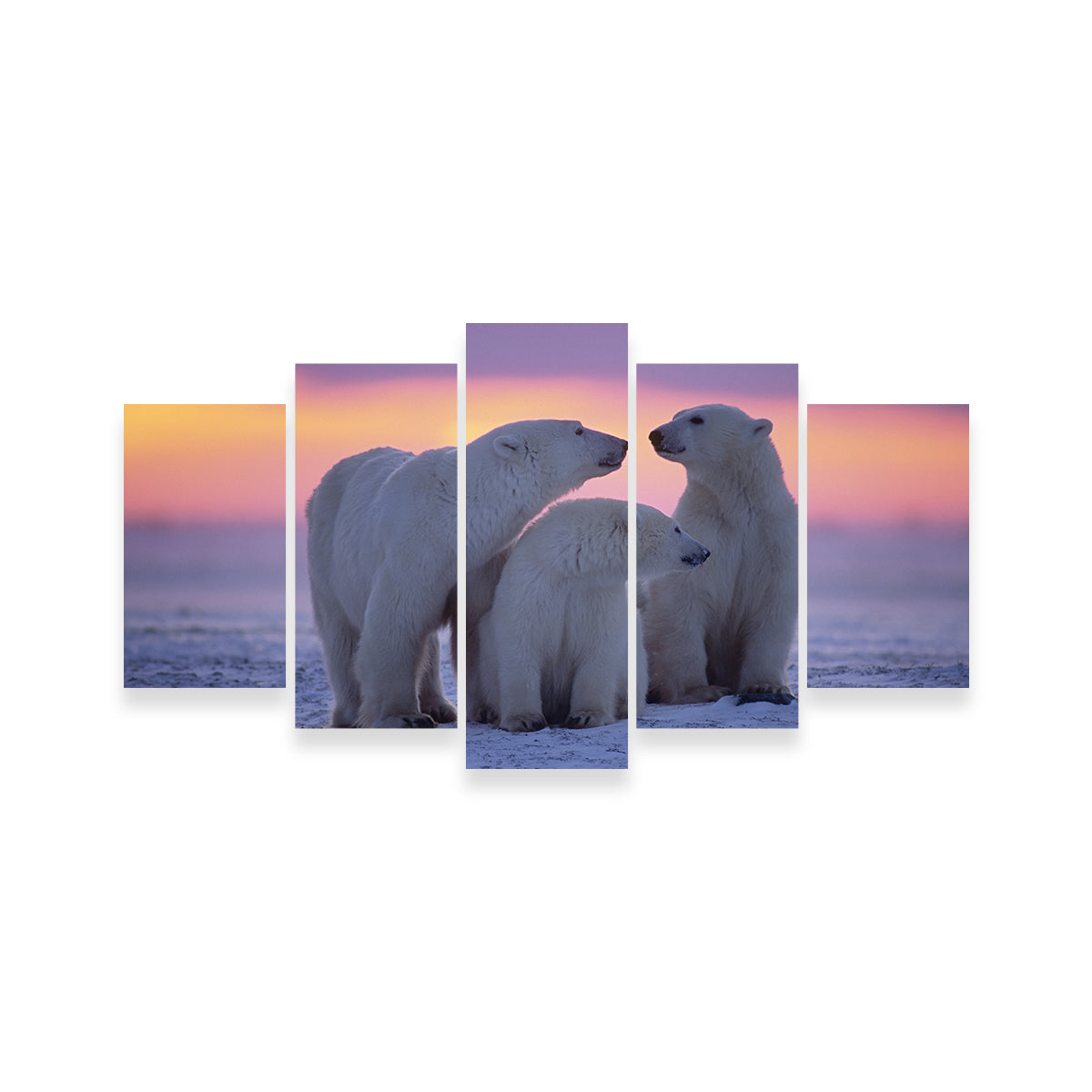Polar Bear Family - Canadian Arctic Wall Art