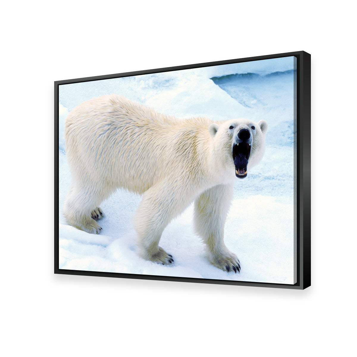 Polar Bear in Svalbard Norway Wall Art