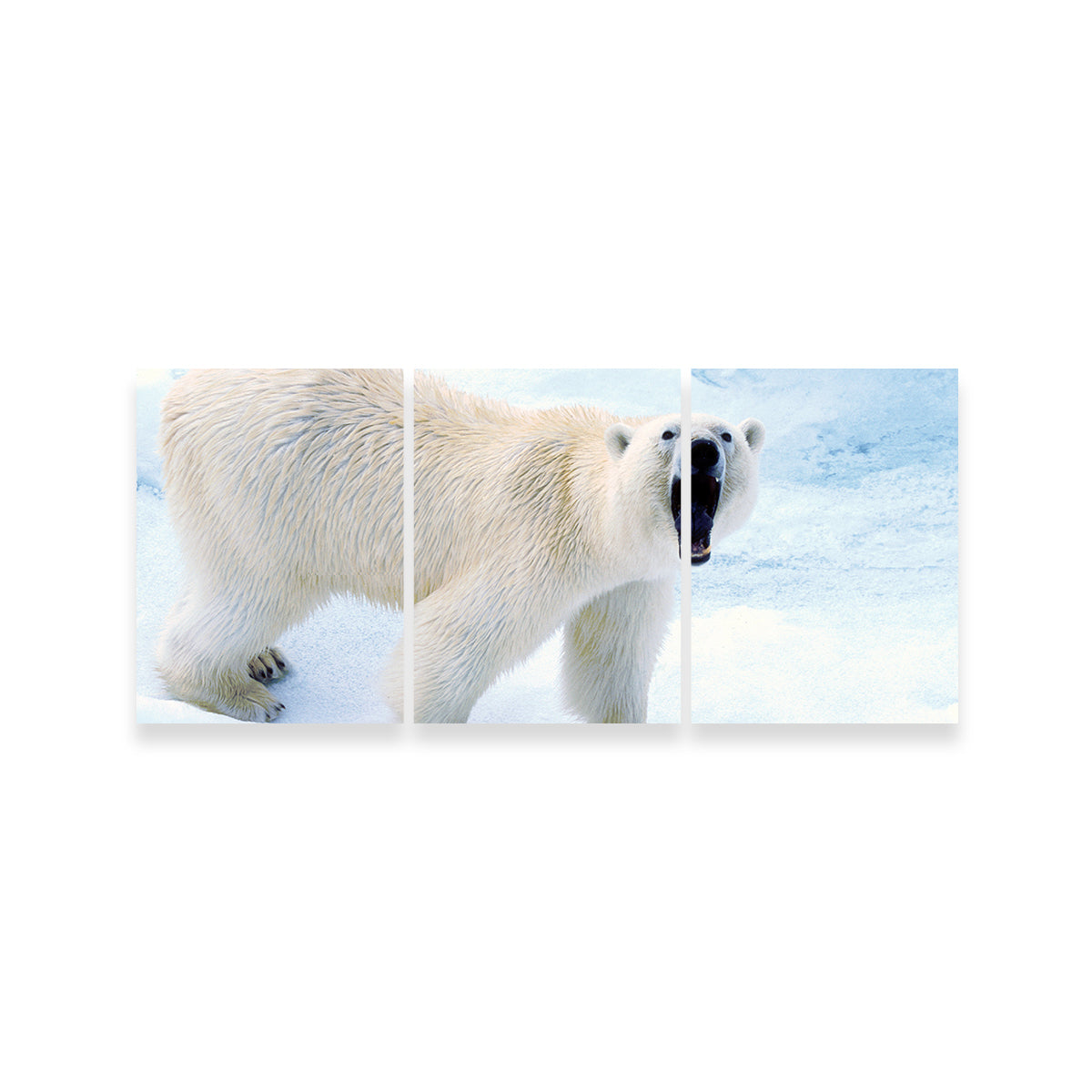 Polar Bear in Svalbard Norway Wall Art