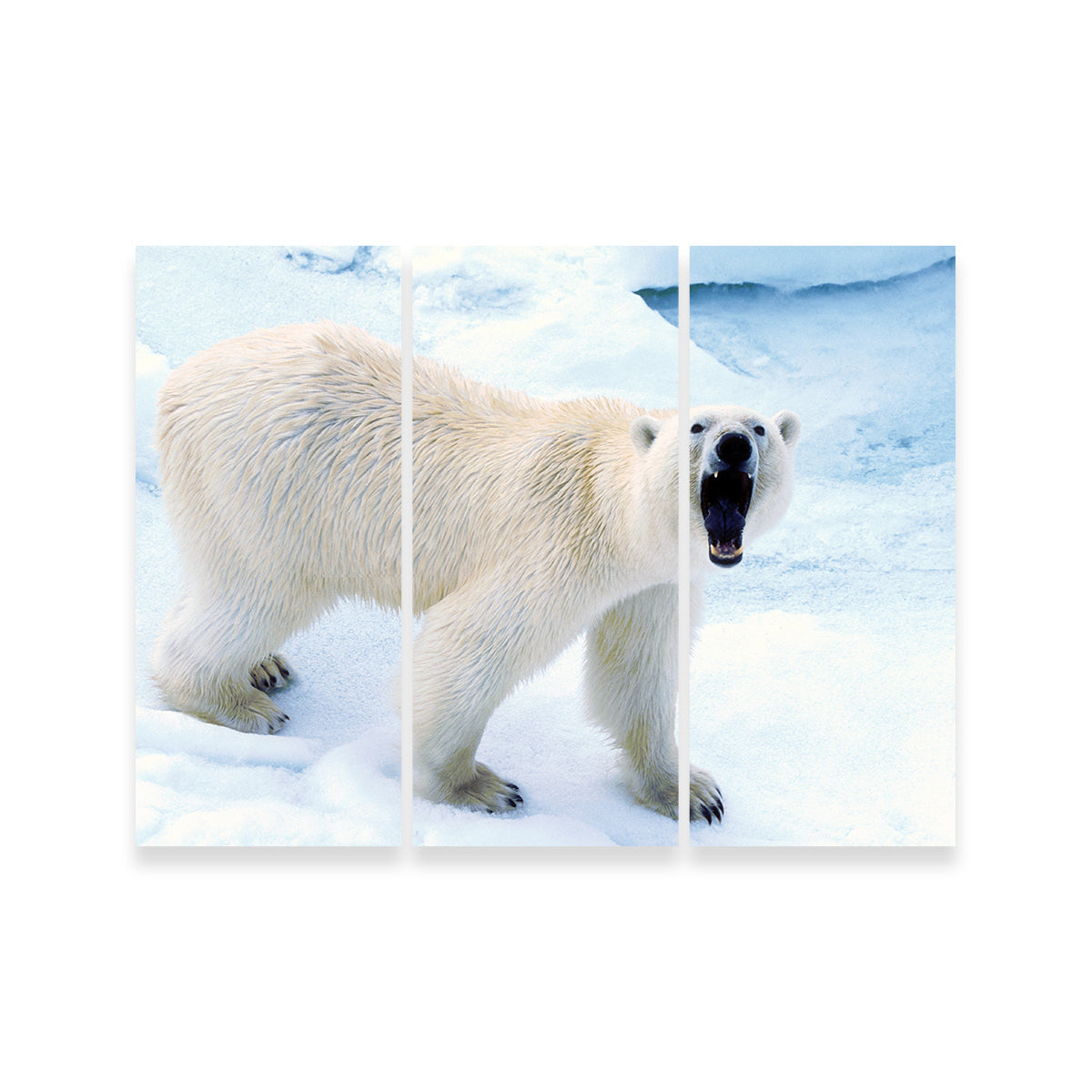 Polar Bear in Svalbard Norway Wall Art