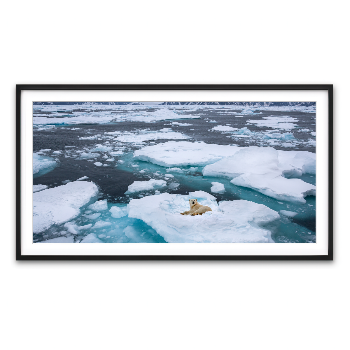 Framed Print 2x1 Black