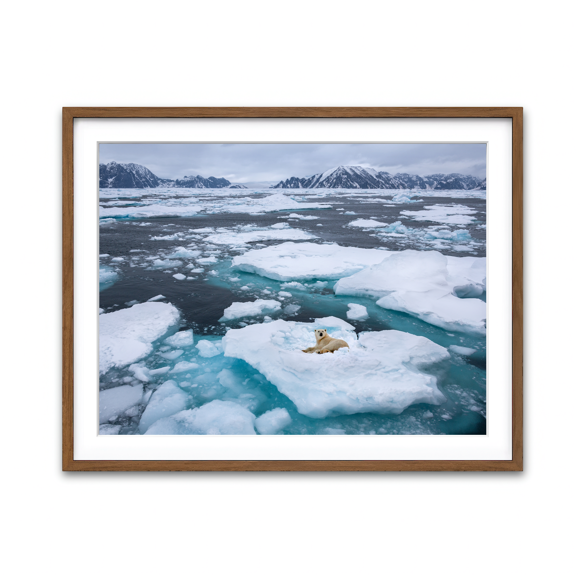 Framed Print 4x3 Walnut