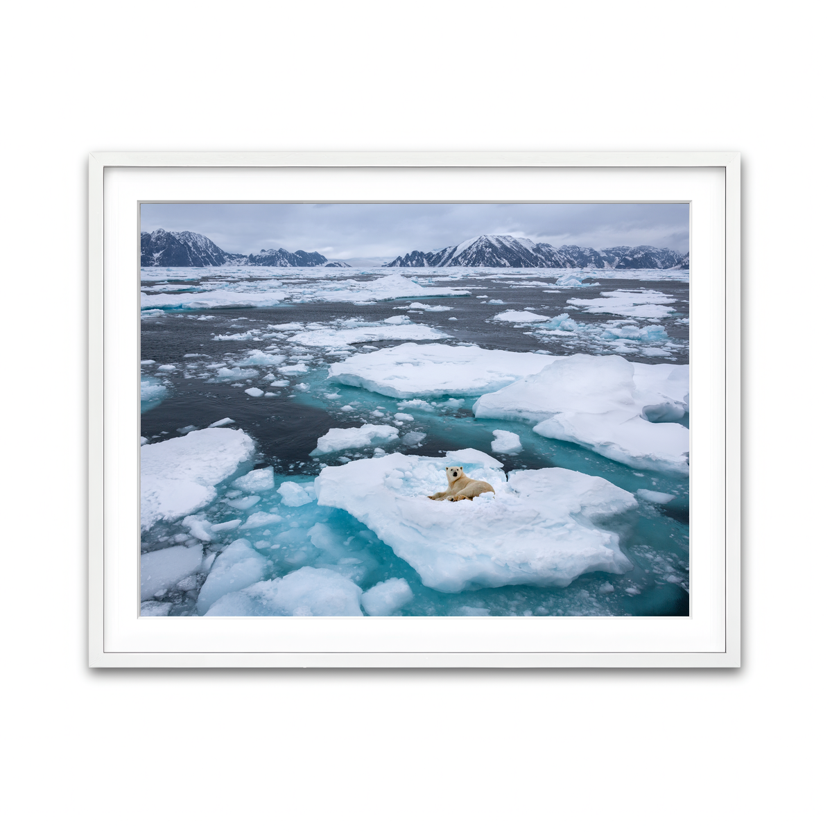 Framed Print 4x3 White